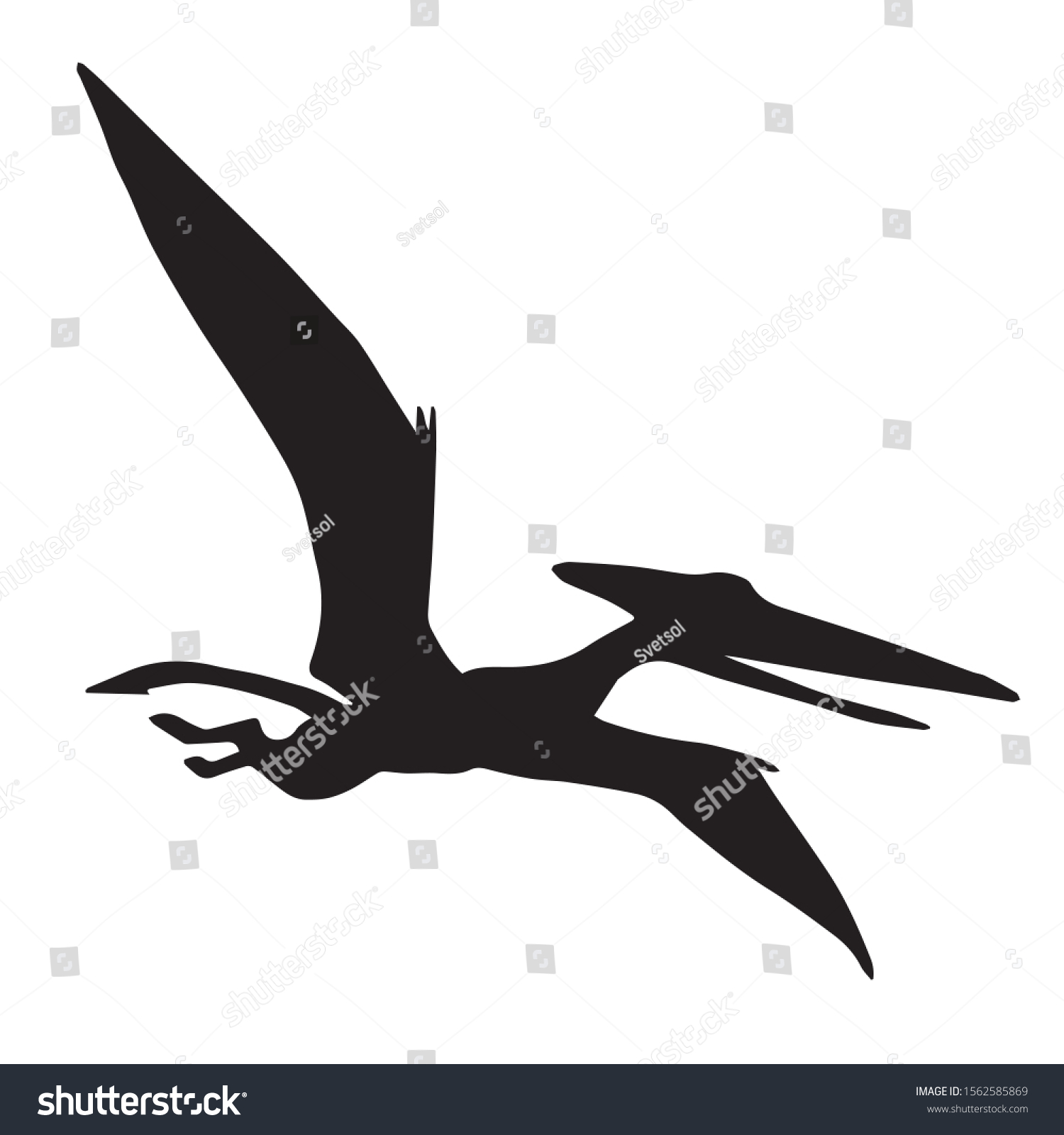 Download Vector Black Flying Pterodactyl Dinosaur Silhouette Stock Vector Royalty Free 1562585869