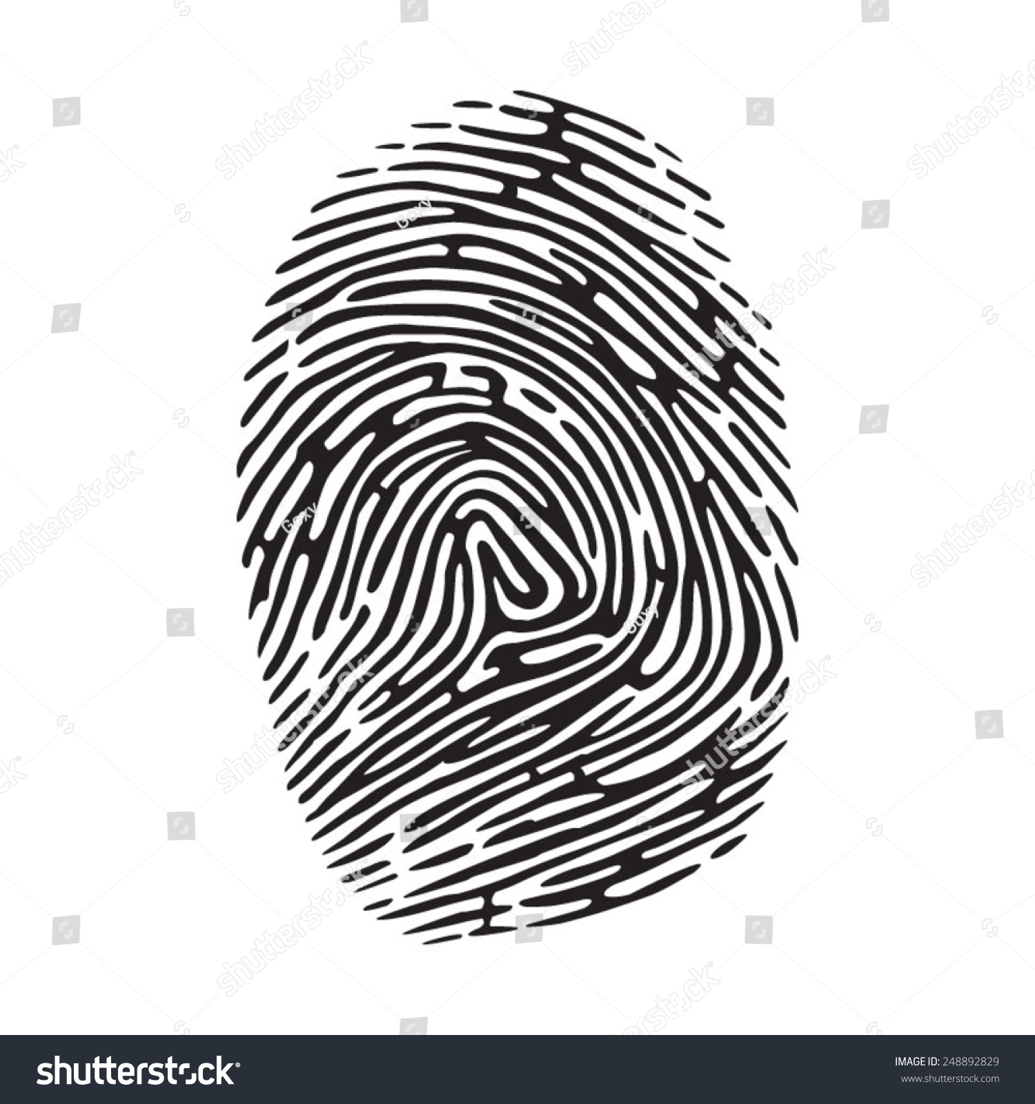 Vector Black Isolated Fingerprint On White Stock Vector (Royalty Free ...