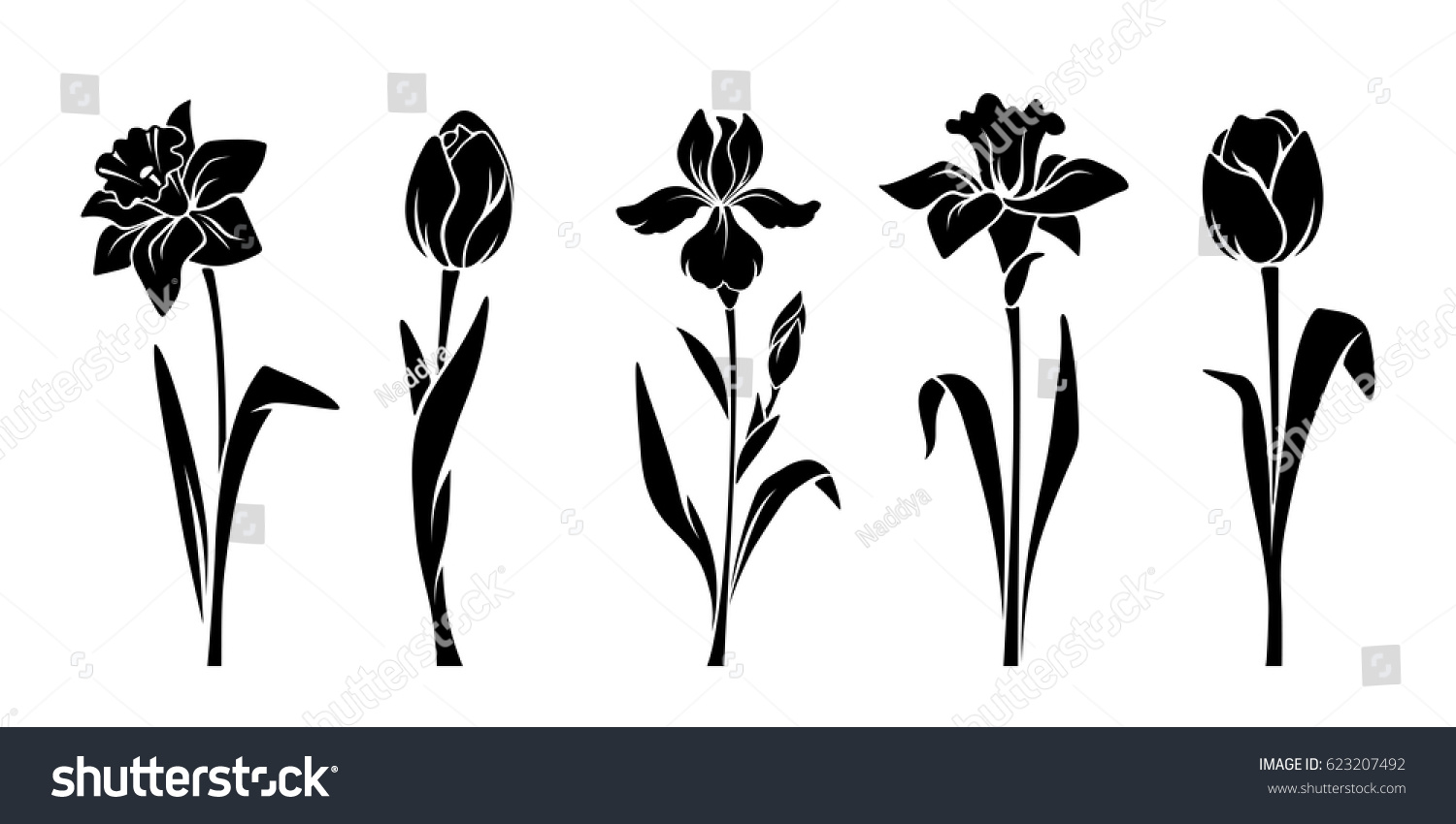 SVG of Vector black silhouettes of spring flowers (tulips, narcissus and iris) isolated on a white background. svg