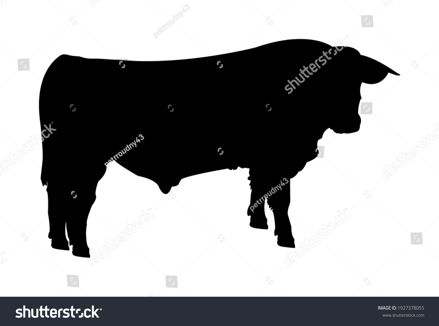 60,976 Cow drawing vector Images, Stock Photos & Vectors | Shutterstock