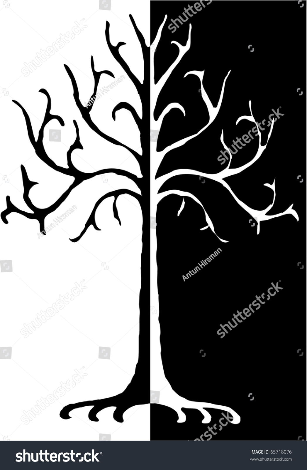 「Vector Black White Tree Illustration」のベクター画像素材（ロイヤリティフリー） 65718076