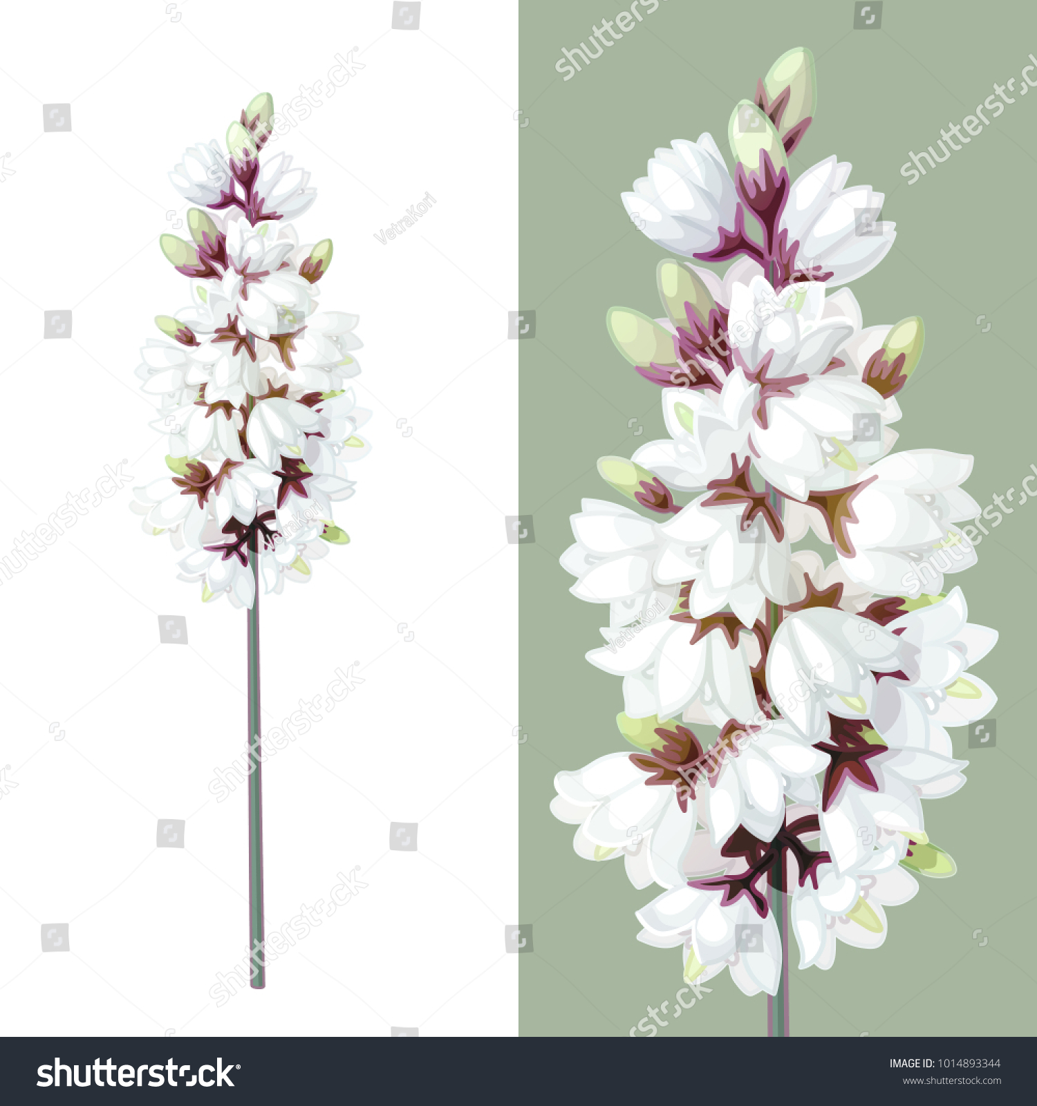 Vector Blooming Wild Yucca Flower Art Stock Vector Royalty Free 1014893344