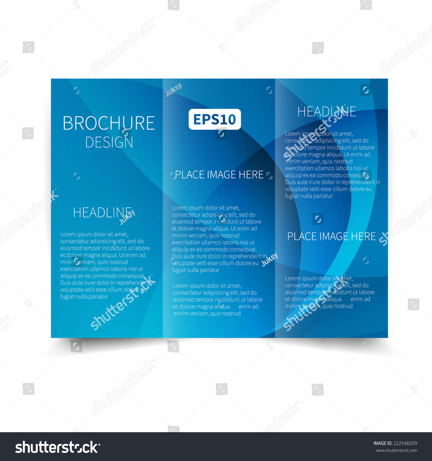 blue trifold