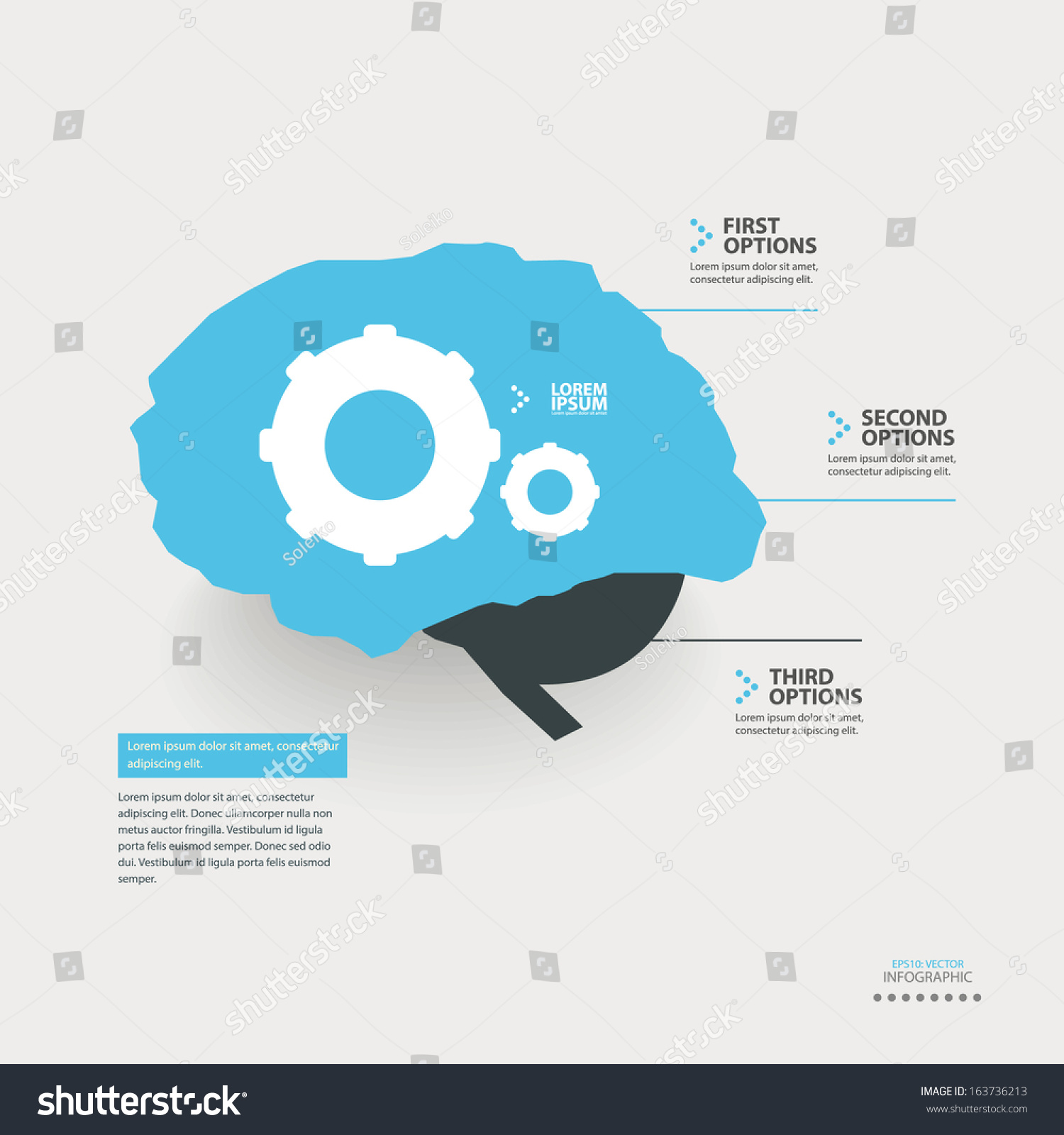 Vector Brain Infographic Template Stock Vector Royalty Free 163736213 Vector Brain Infographic Template Stock Vector Royalty Free 163736213