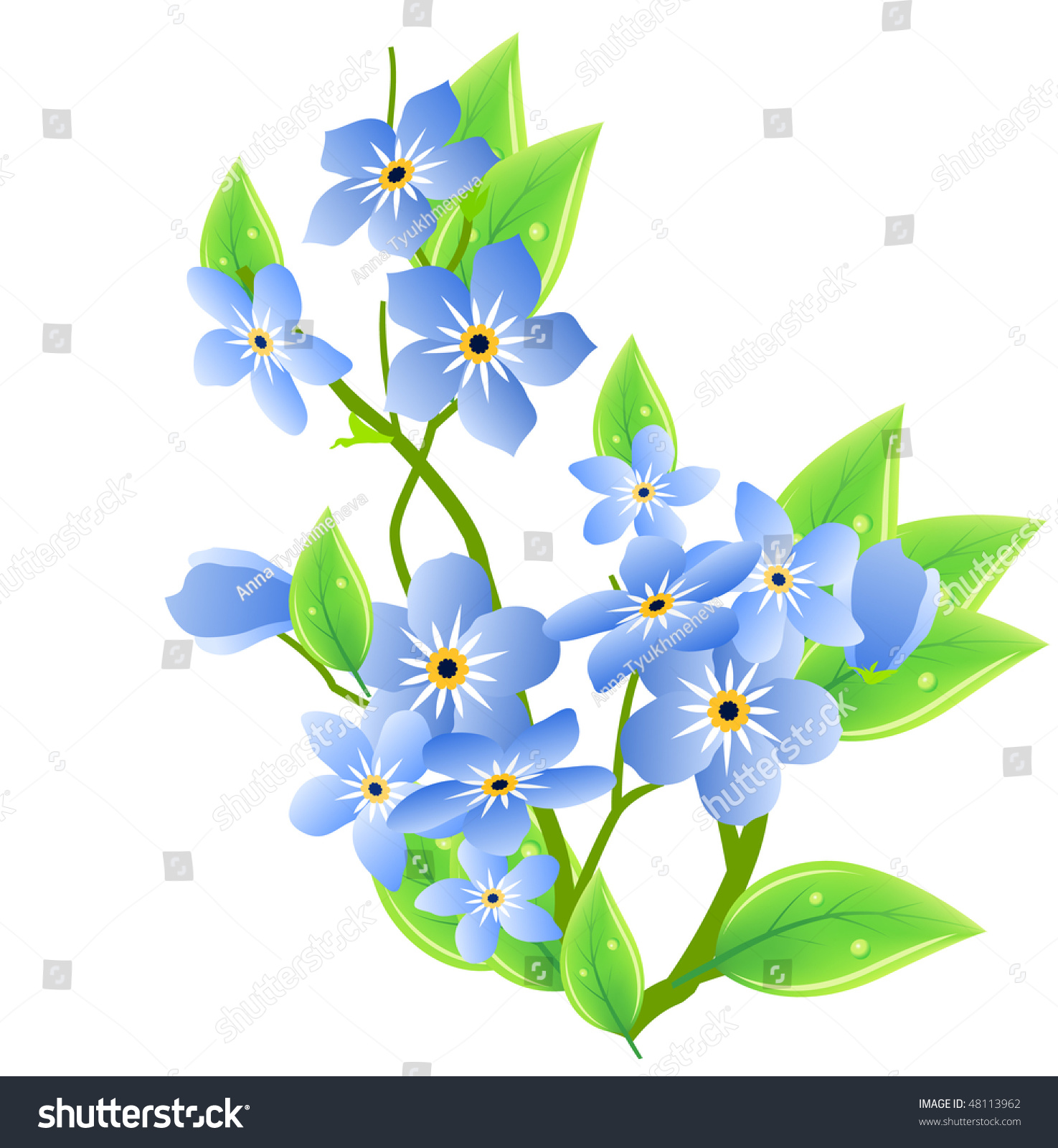 clip art forget me not flower - photo #24