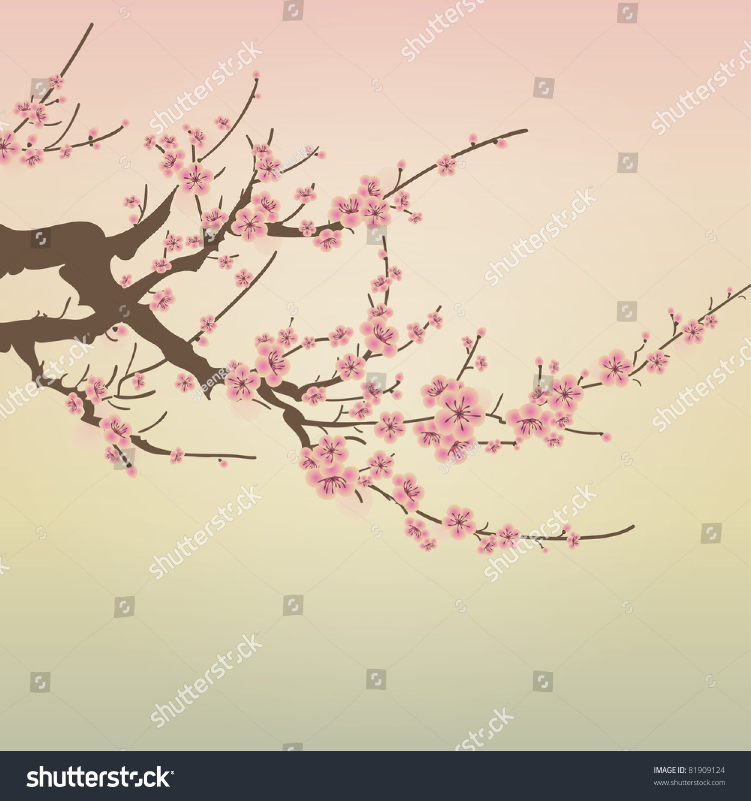 Vector Branch Cherry Blossom Stock Vector 81909124 - Shutterstock