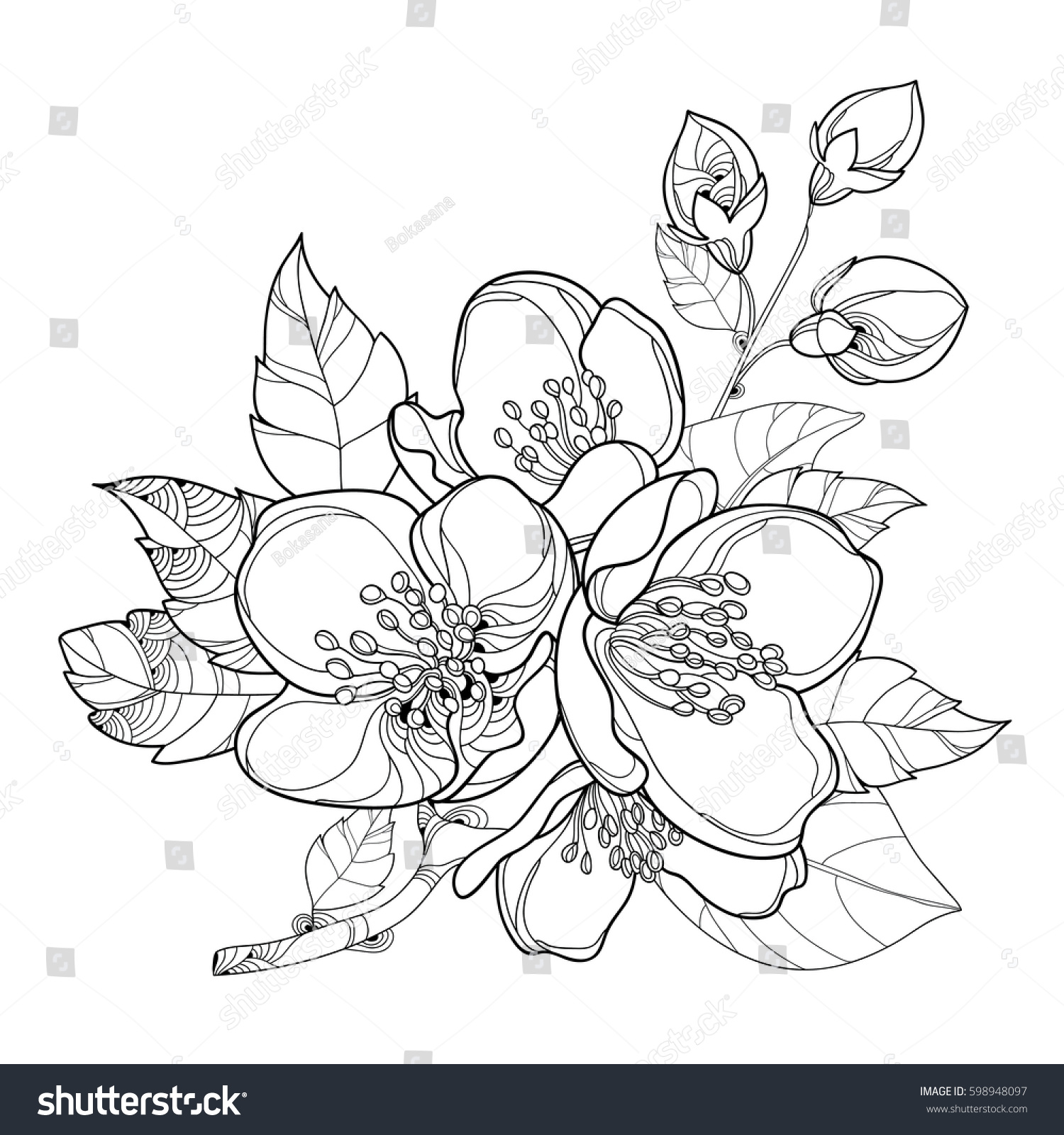 Jasmine Flower Outline