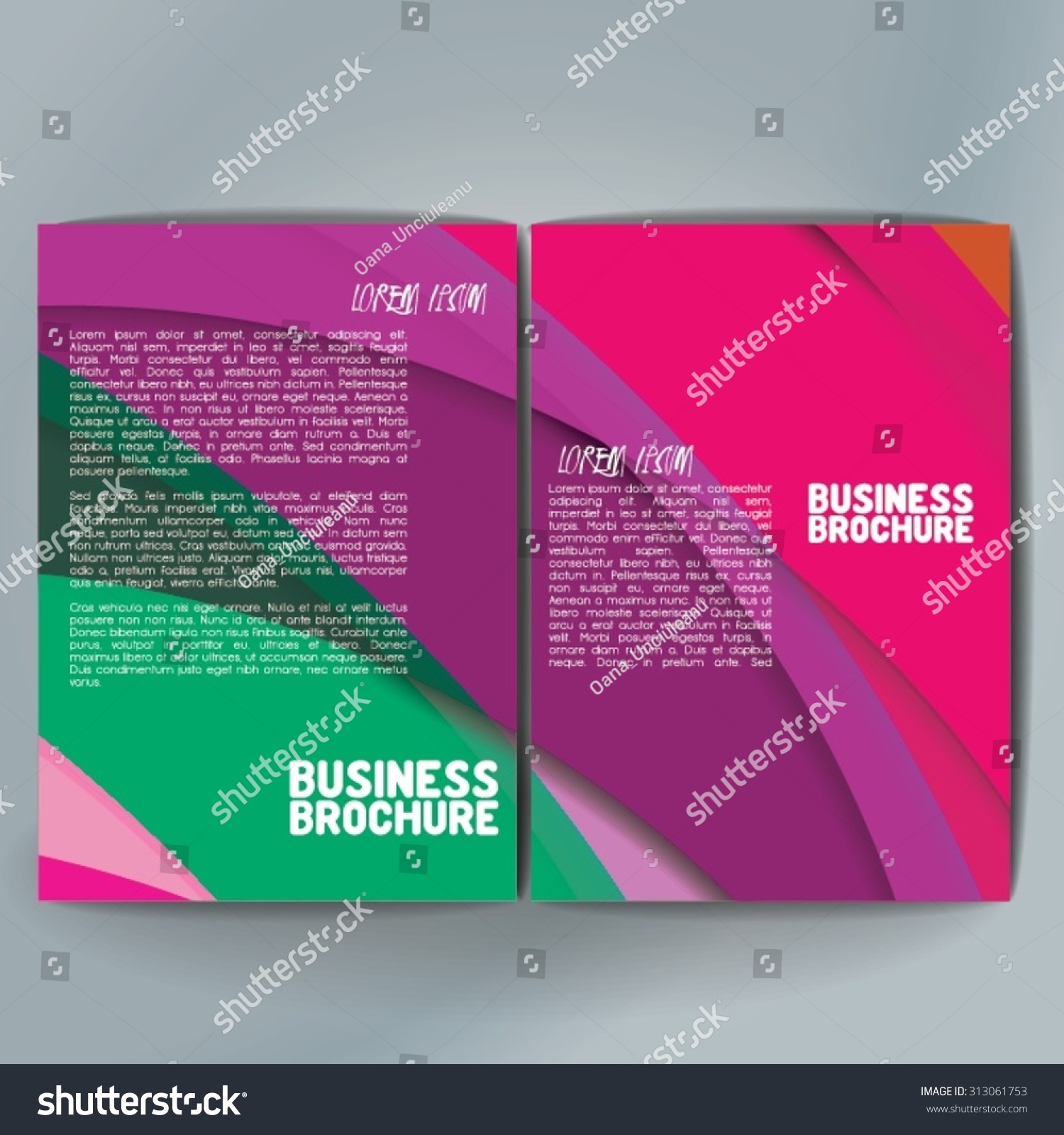 Vector Brochure Template Design A4 Size Stock Vector (Royalty Free ...