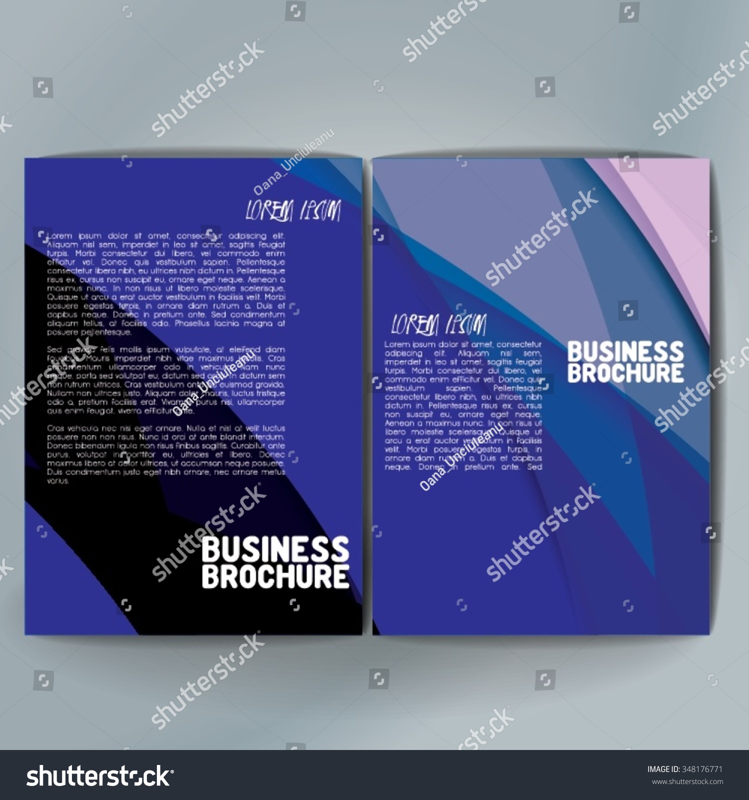 Vector Brochure Template Design A4 Size Stock Vector (Royalty Free ...