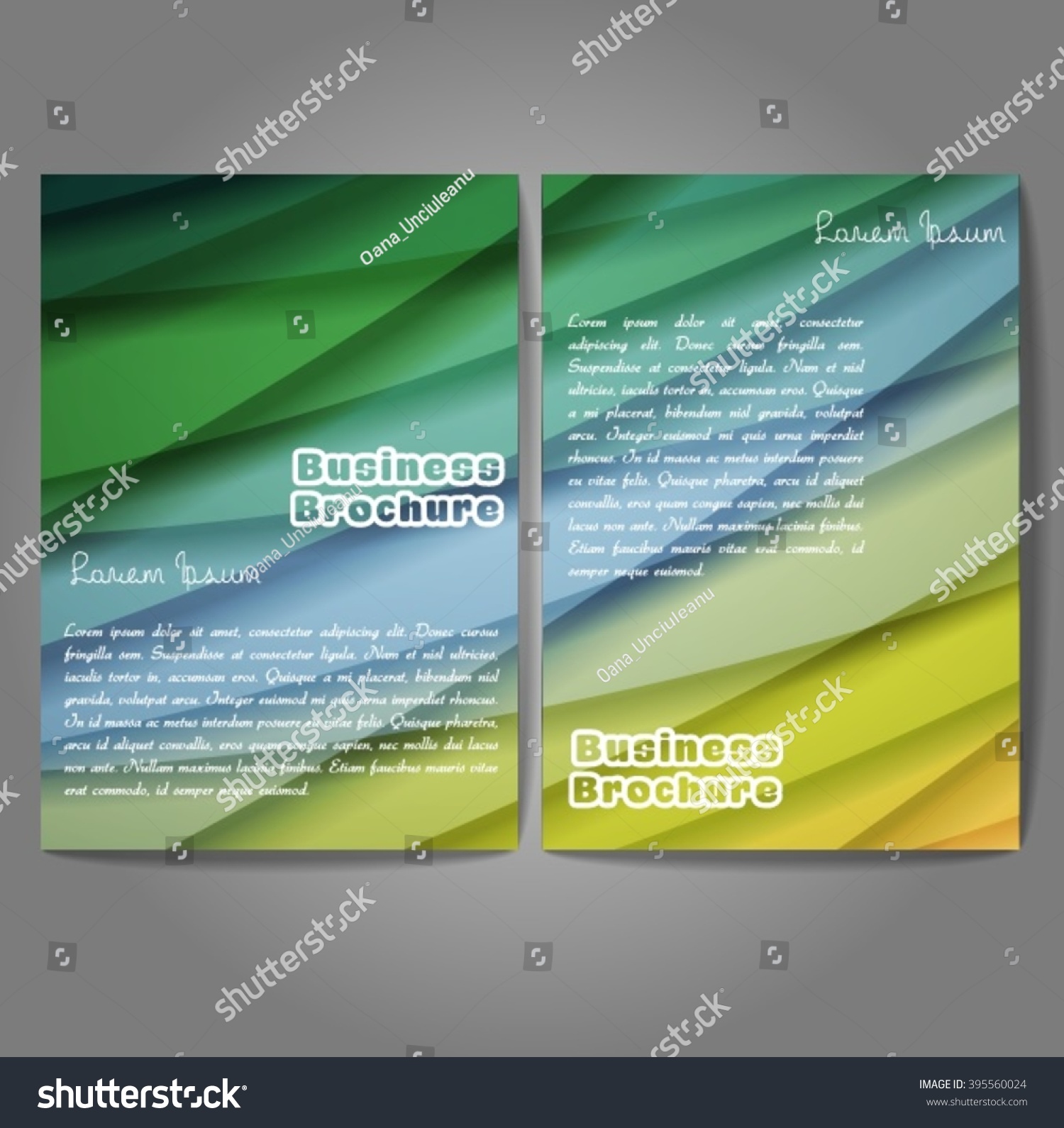 Vector Brochure Template Design A4 Size Stock Vector Royalty Free 395560024