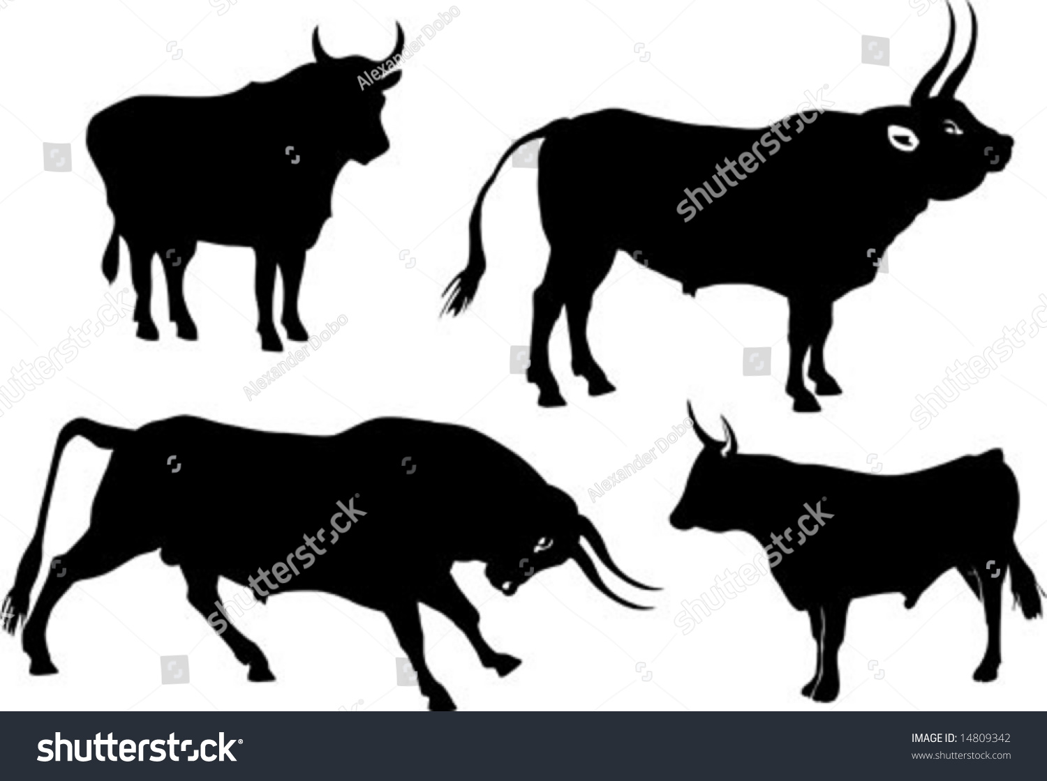 Vector Bull Silhouette Set - 14809342 : Shutterstock