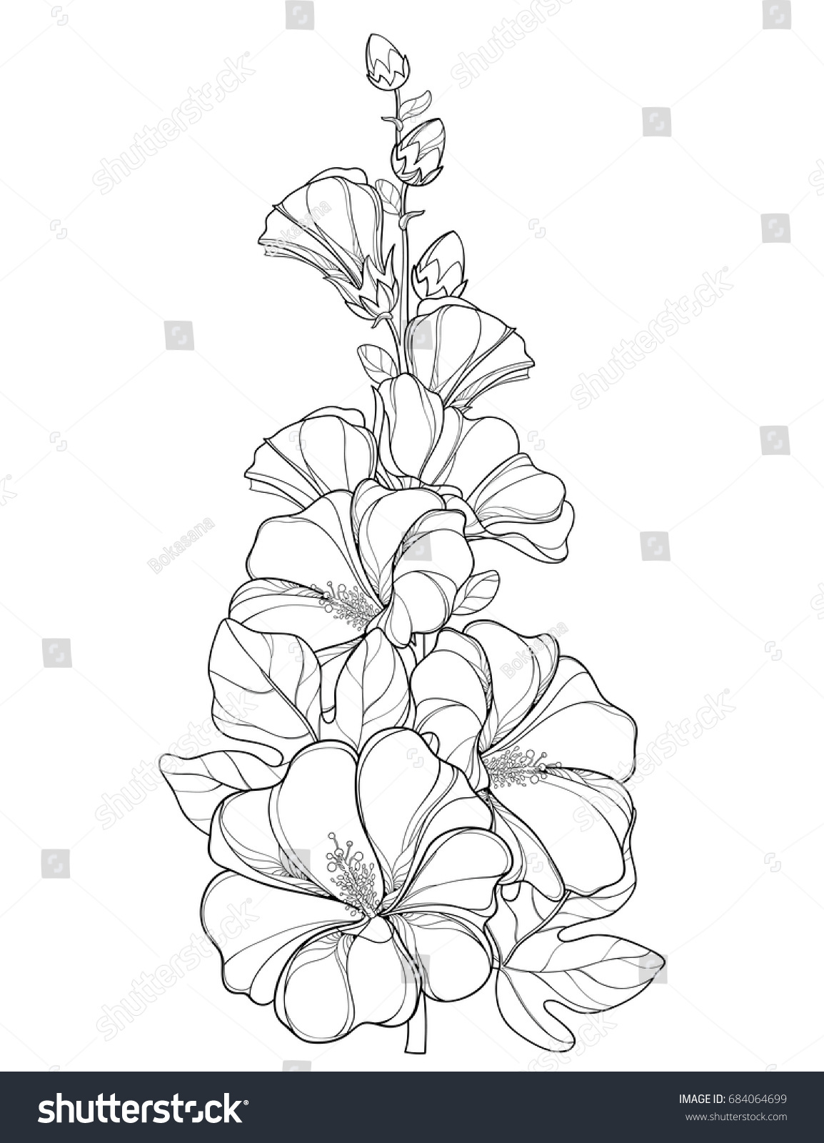 Vector Bunch Outline Alcea Rosea Hollyhock Stock Vector ...