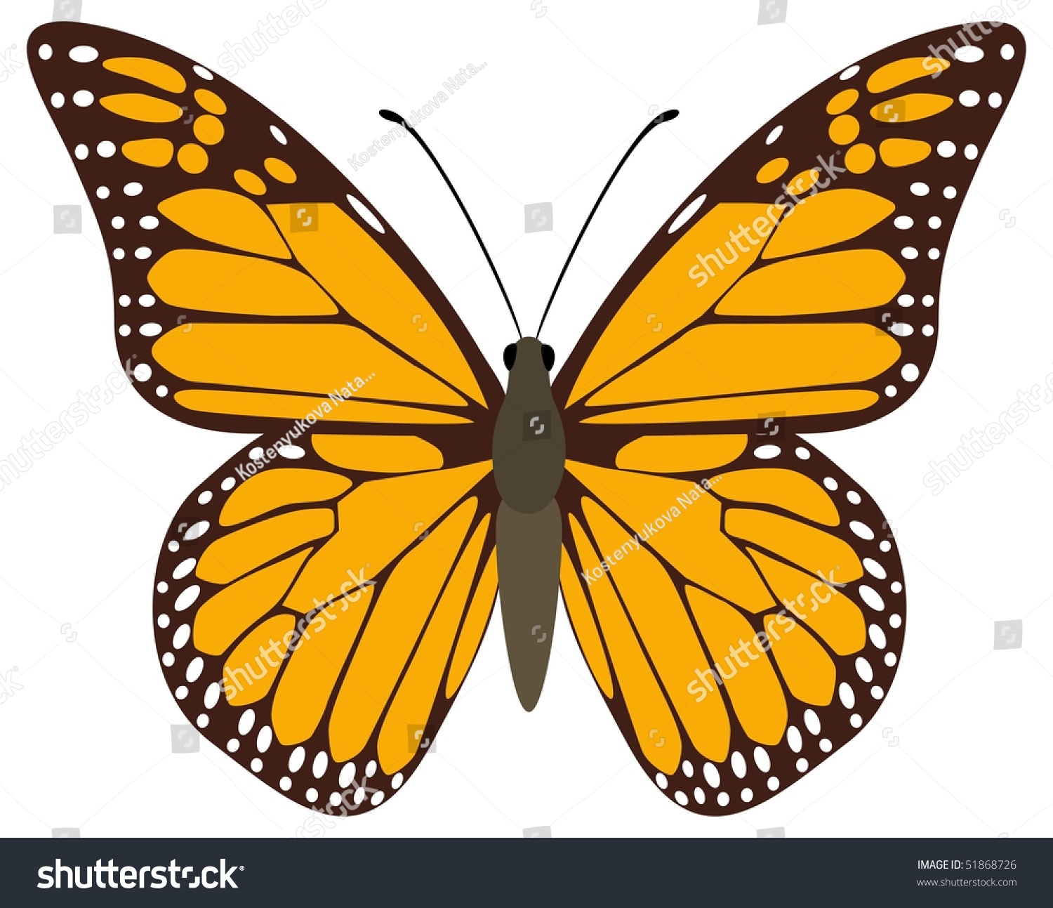 Vector Butterfly, Brown-Orange Monarch. Isolated On A White Background ...