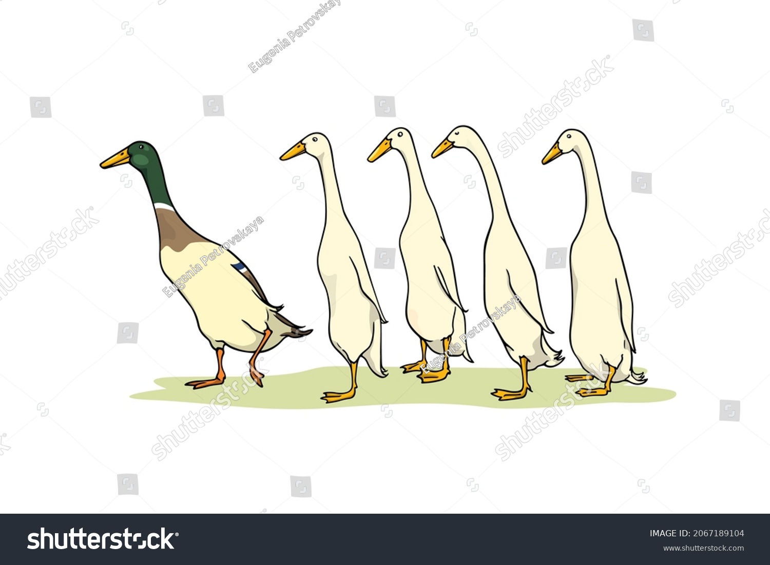 SVG of Vector card with a flock of hand drawn white Indian Runner ducks led by a Mallard one. Ink drawing, sweet illustration. Beautiful farm products design elements. svg