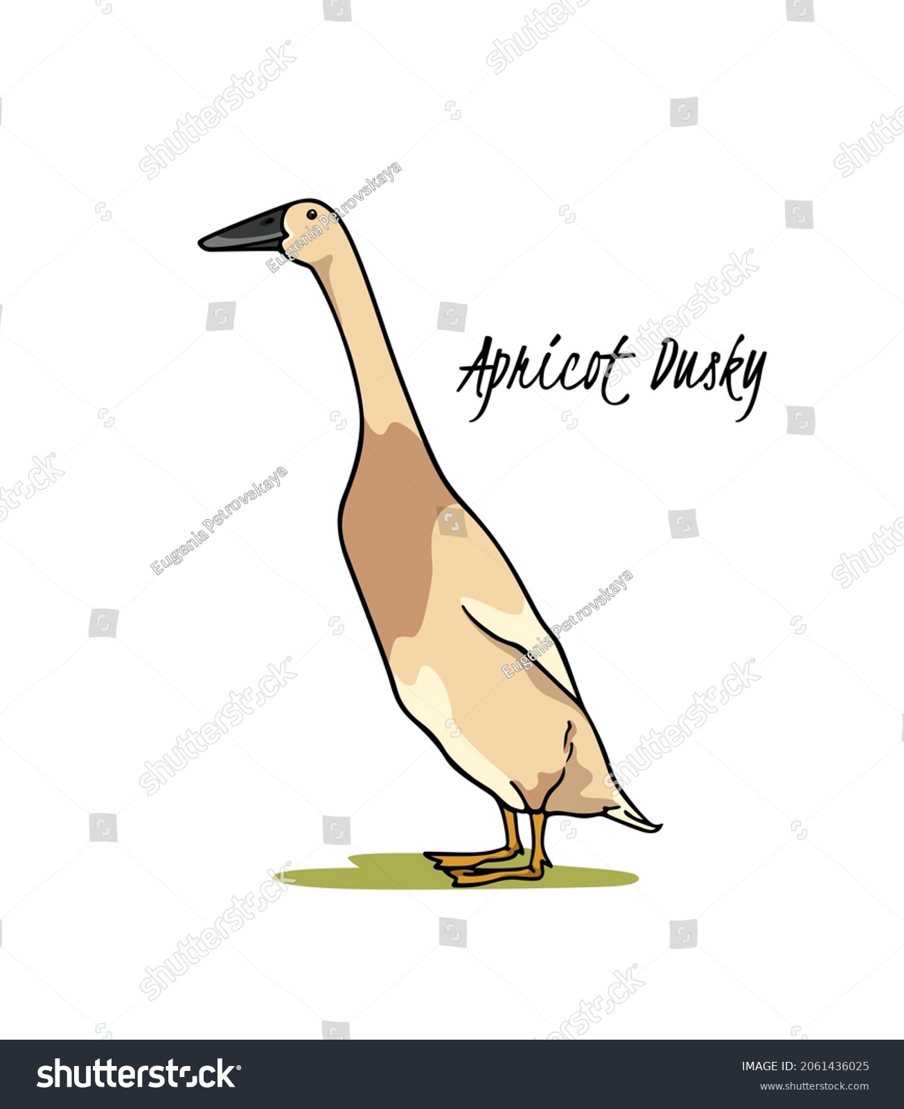 SVG of Vector card with hand drawn cute fawn and Apricot Dusky Indian Runner duck. Ink drawing, graphic style. Beautiful farm products design elements. svg