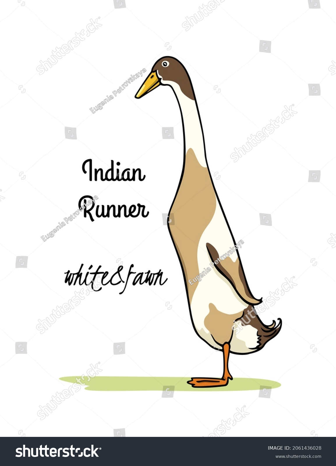 SVG of Vector card with hand drawn cute fawn and white Indian Runner duck. Ink drawing, graphic style. Beautiful farm products design elements. svg