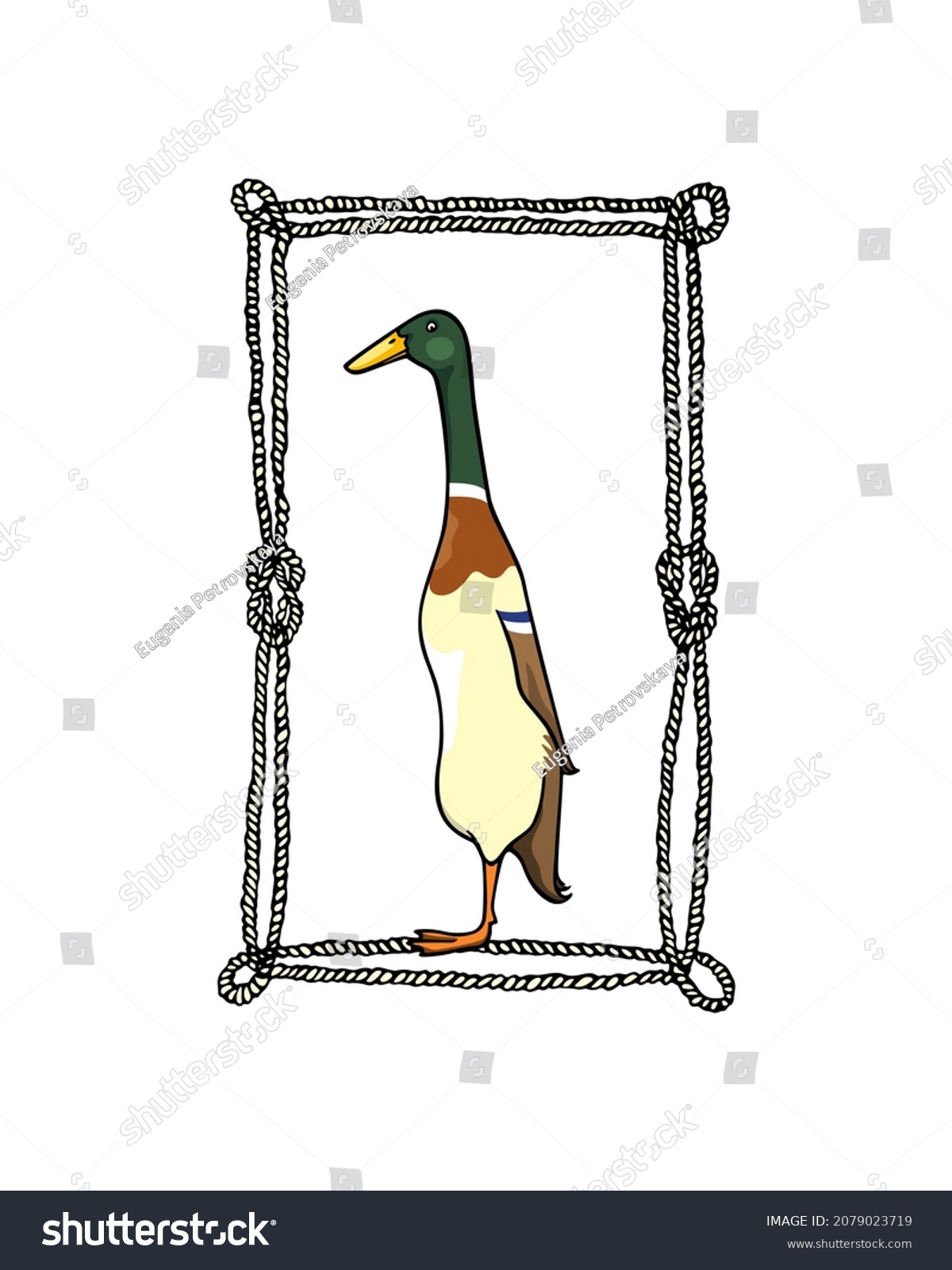 SVG of Vector card with hand drawn portrait of a cute Mallard Indian Runner duck in nautical rope frame. Ink drawing, graphic style. Beautiful farm products design elements. svg