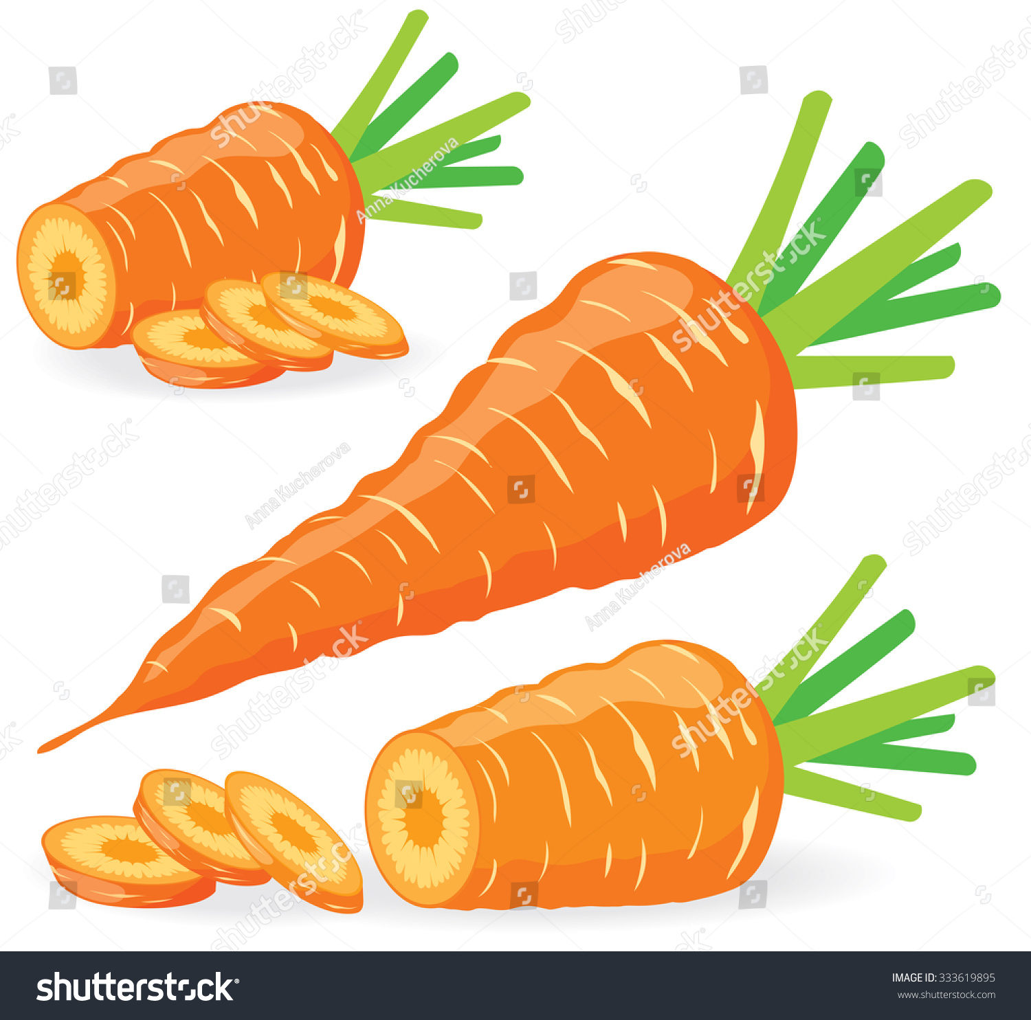 Vector Carrots Sliced Carrots Collection Vector Stock Vector 333619895 ...