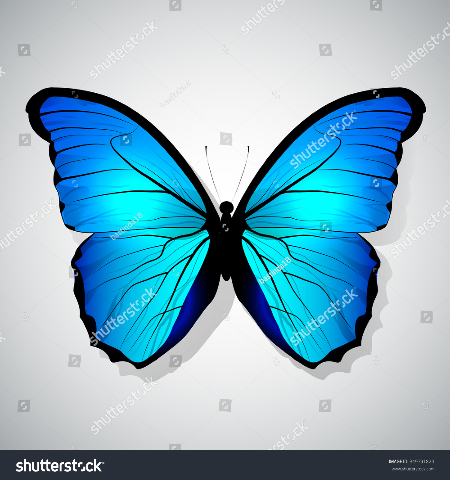 Vector Cartoon Blue Butterfly Isolated Stock Vector 349791824 ...