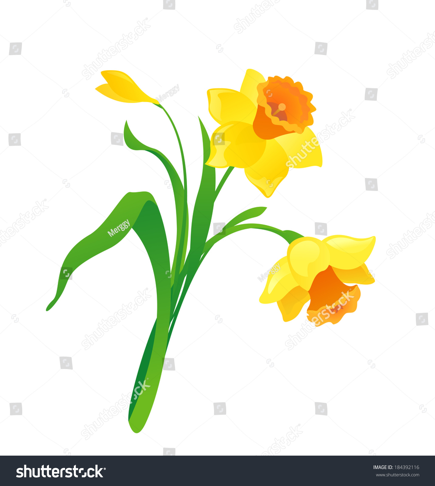 SVG of Vector cartoon daffodil svg