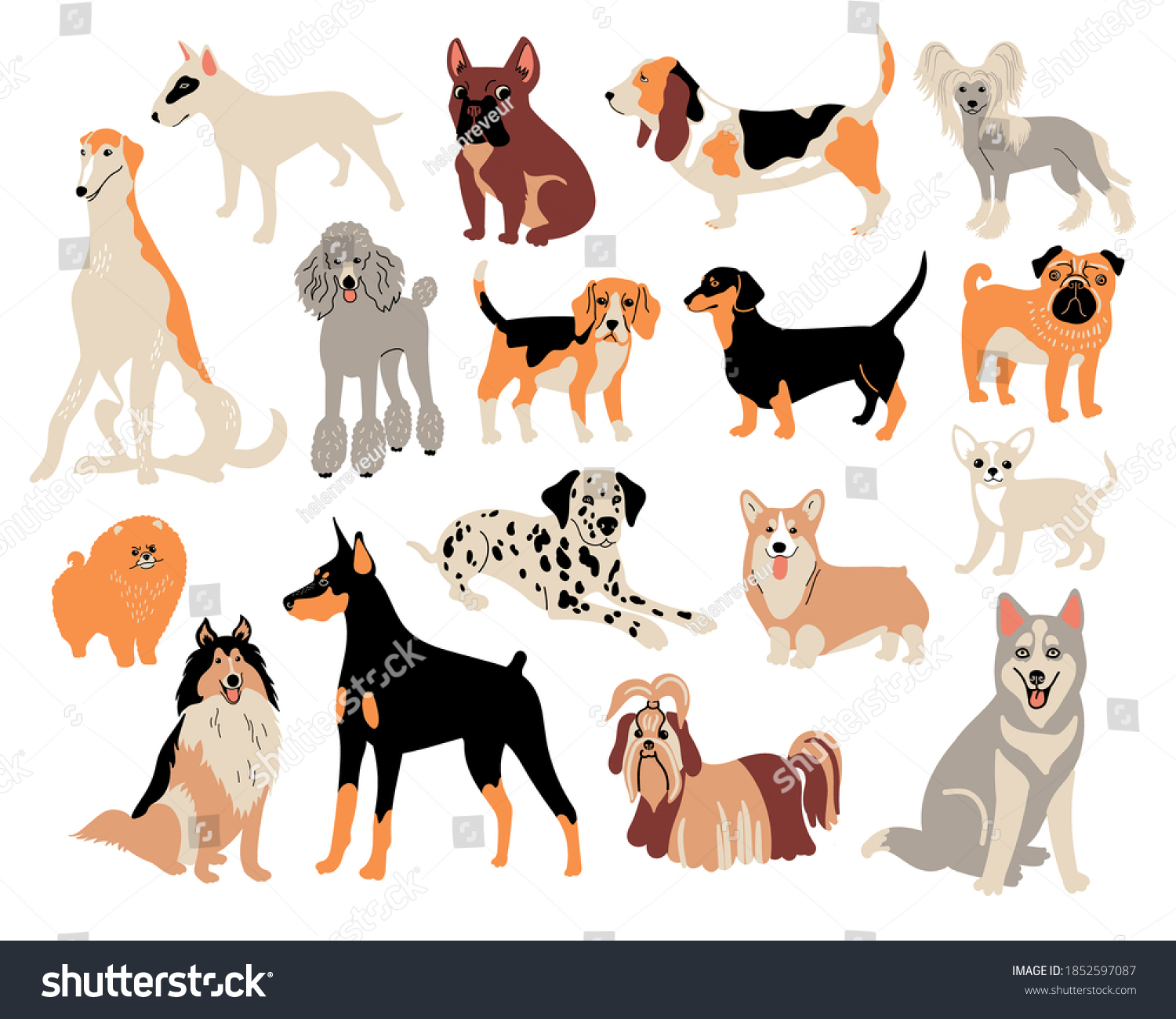 Vector Cartoon Dog Breeds Cute Doodle Stock Vector (Royalty Free ...