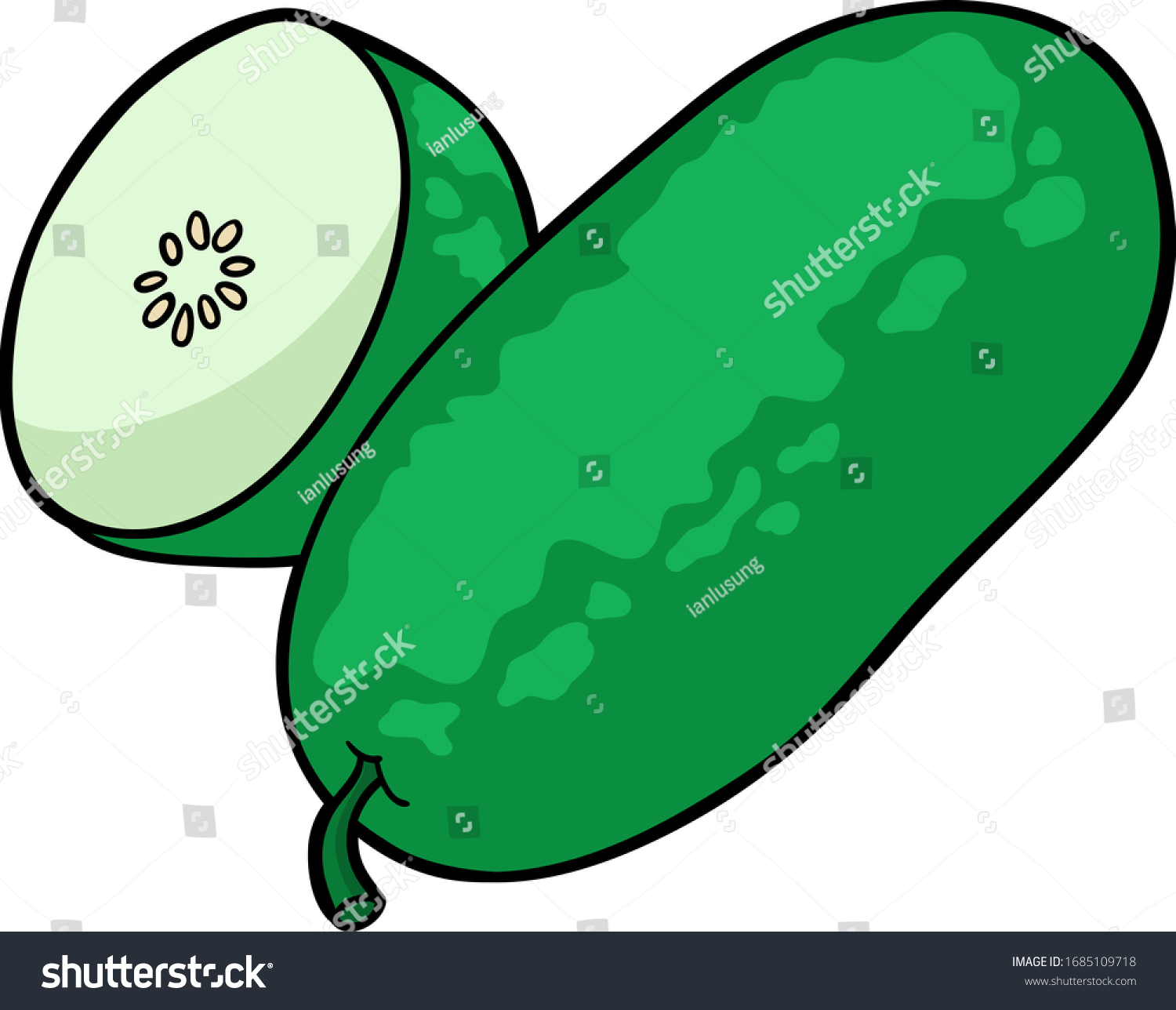27 Winter melon in garden Stock Illustrations, Images & Vectors