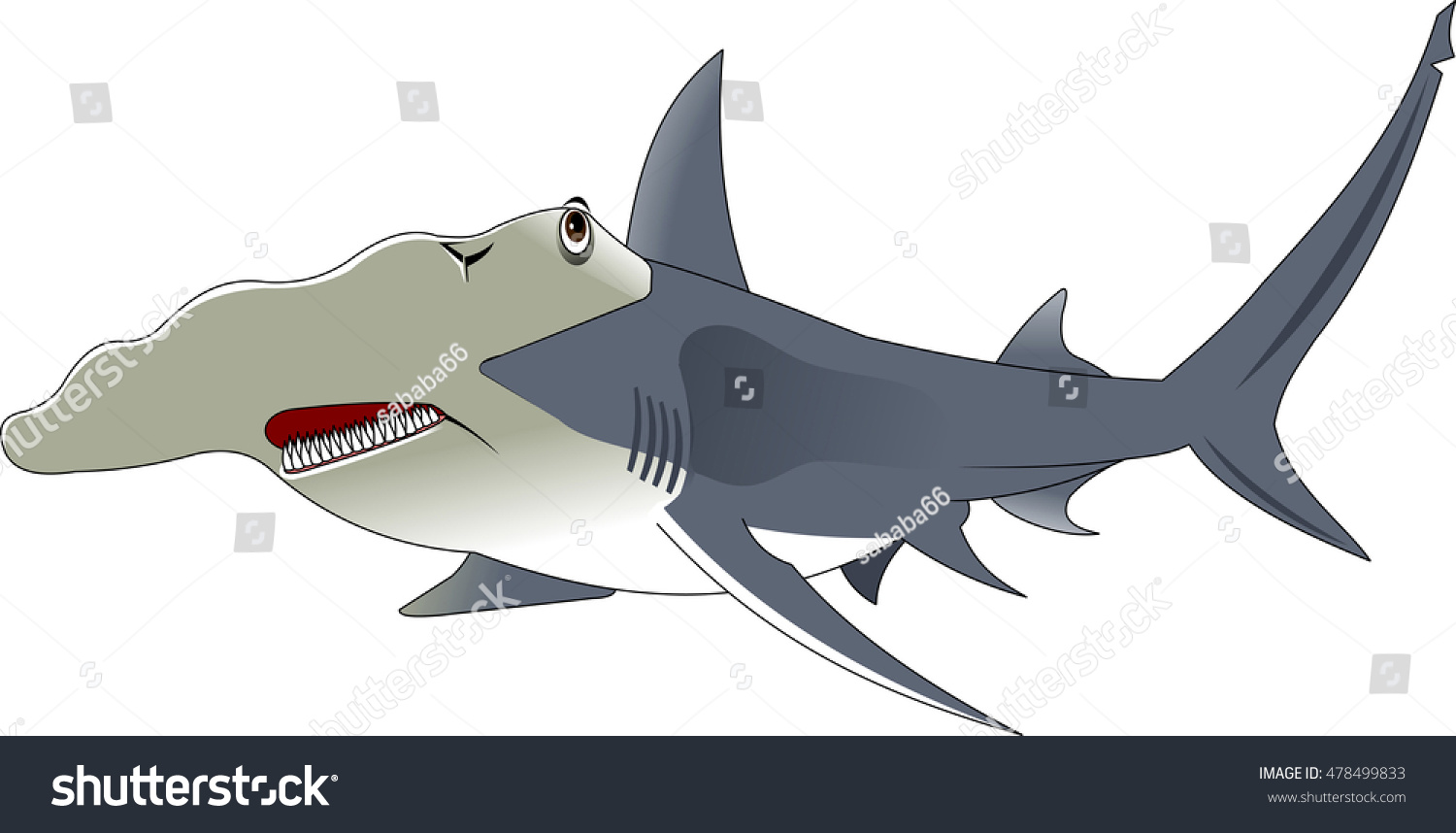 Vector Cartoon - Hammerhead Shark - 478499833 : Shutterstock