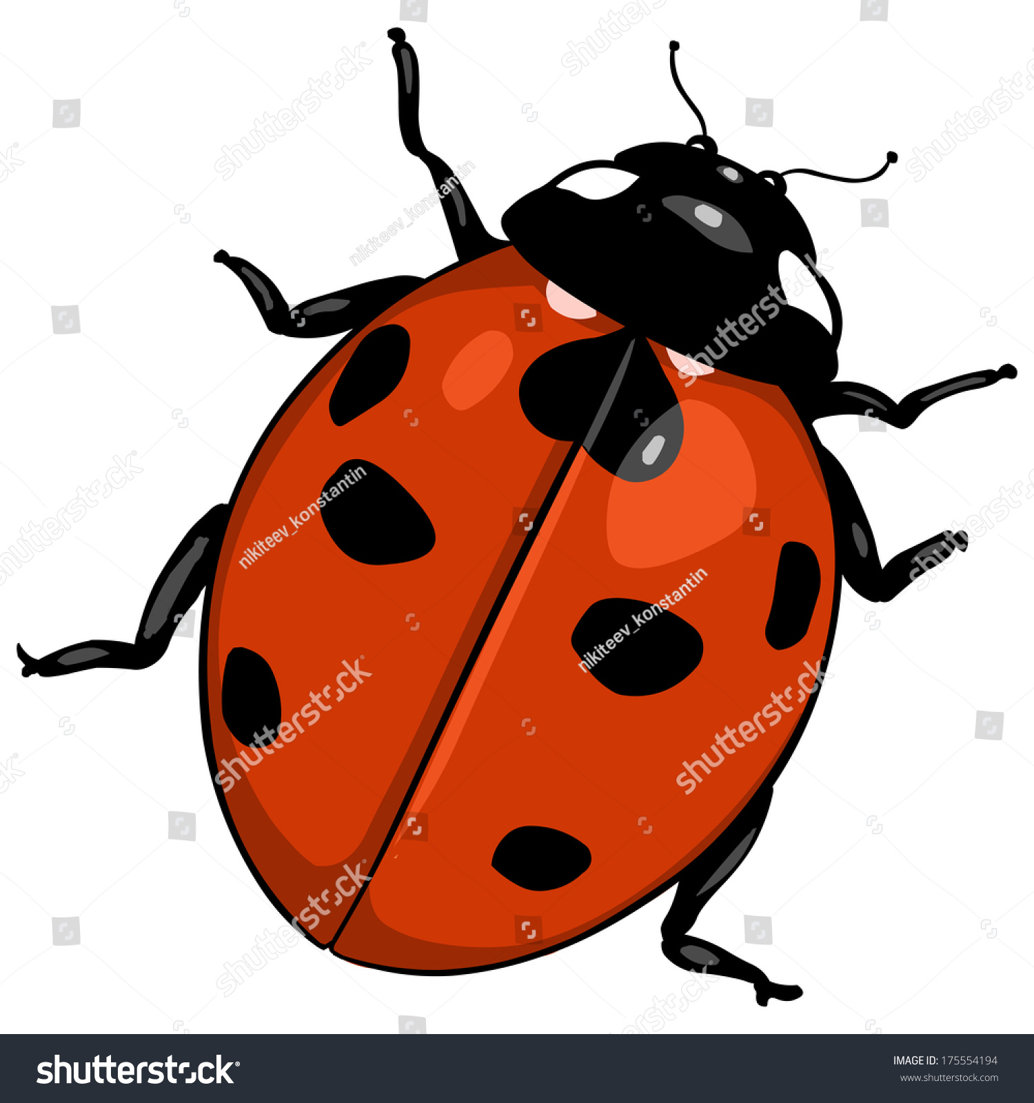SVG of vector cartoon ladybug svg
