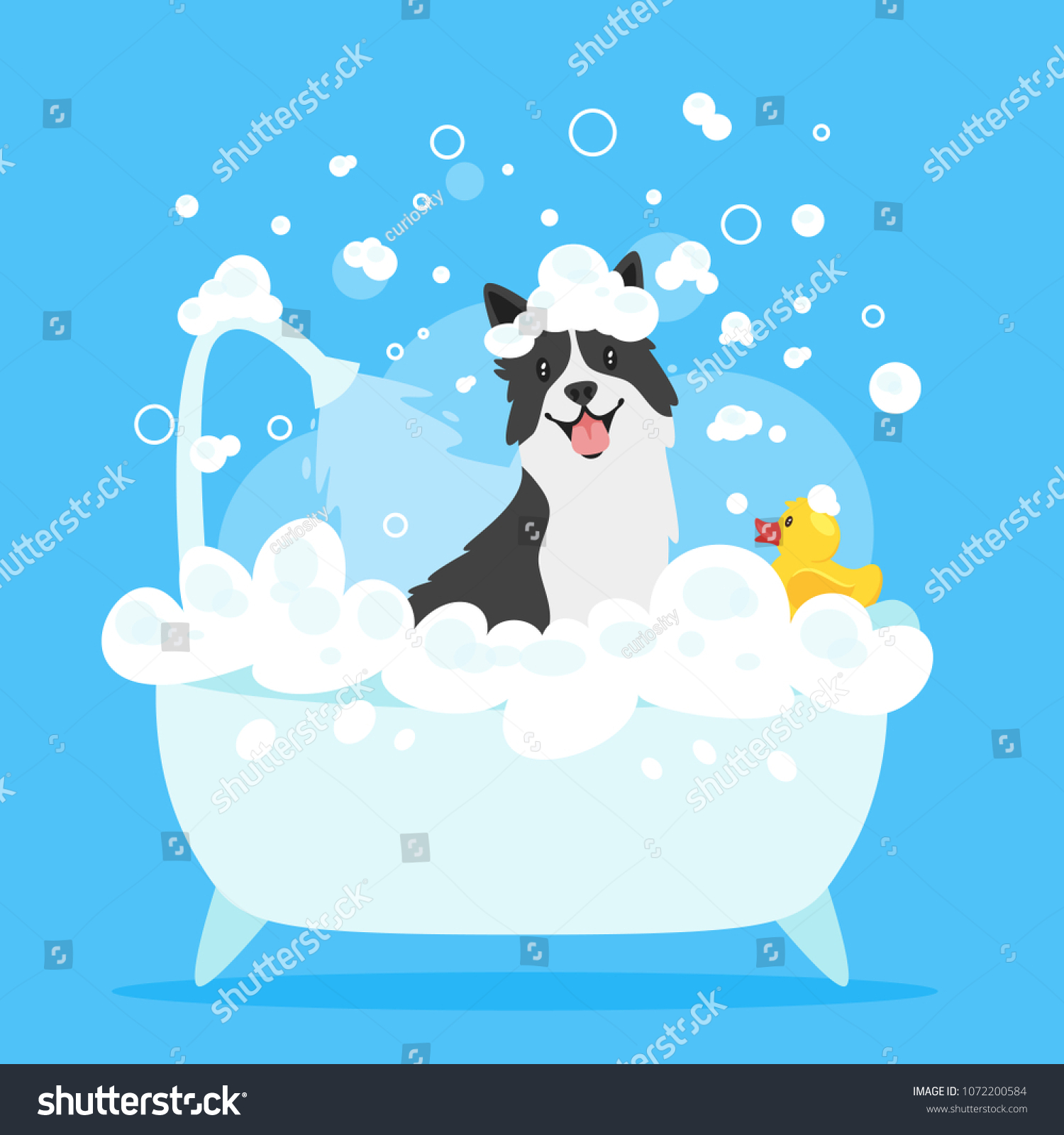SVG of Vector cartoon style illustration of cute border collie dog taking a bath full of soap foam. Yellow rubber duck in bathtub. Grooming concept. Blue background. svg