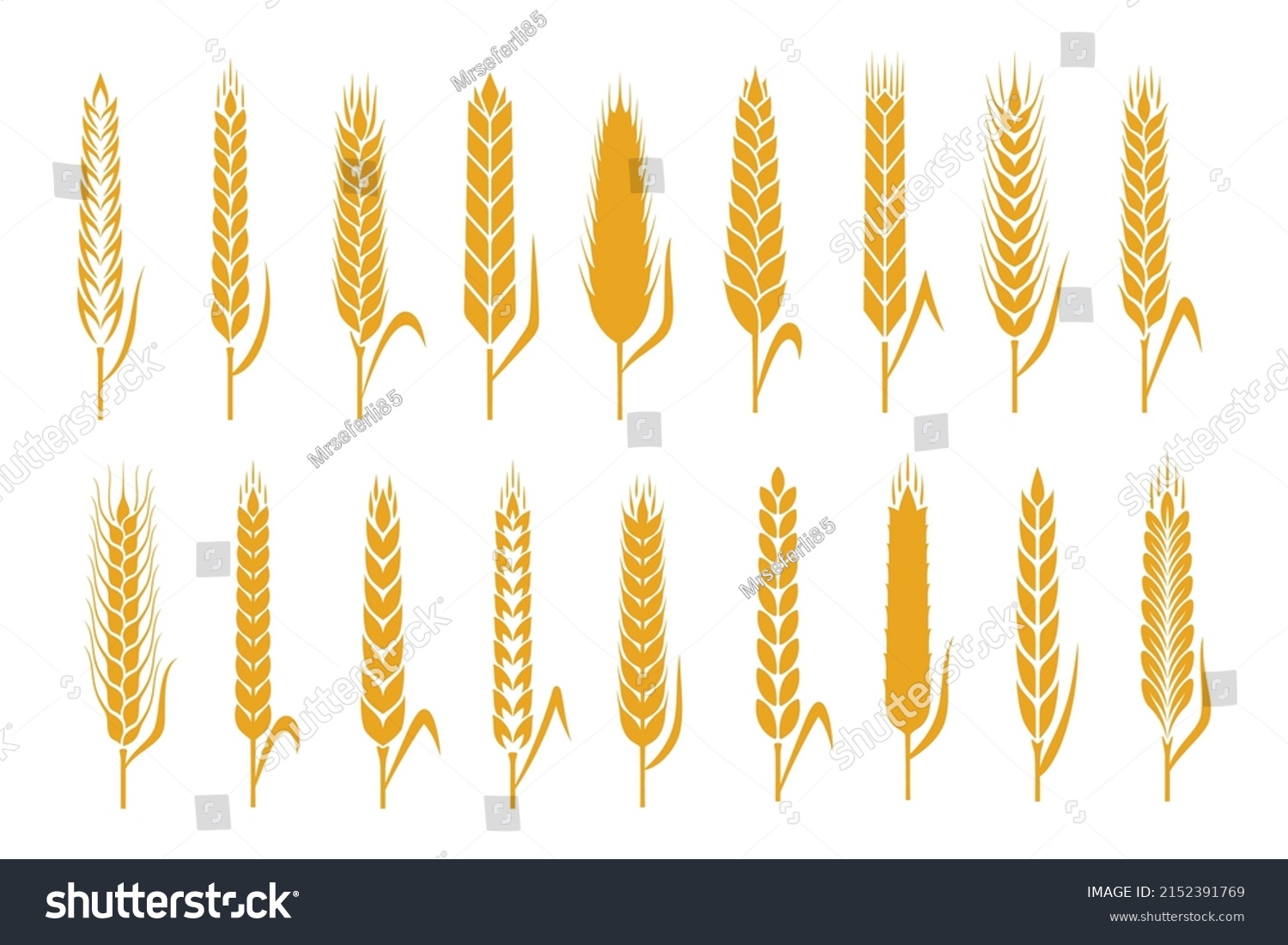 Vector Cereal Crops Icons Vector Illustration Stock Vector (Royalty ...