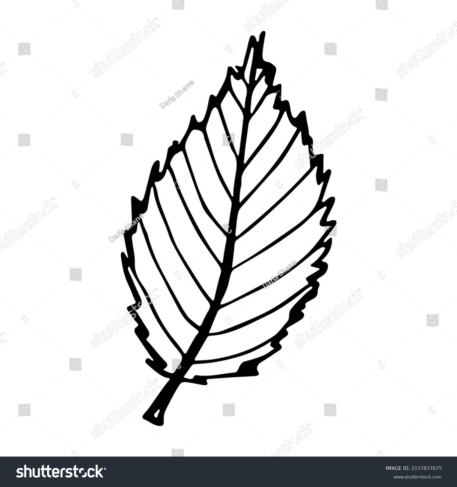 Vector Cherry Leaf Clipart Hand Drawn Stock Vector (Royalty Free ...