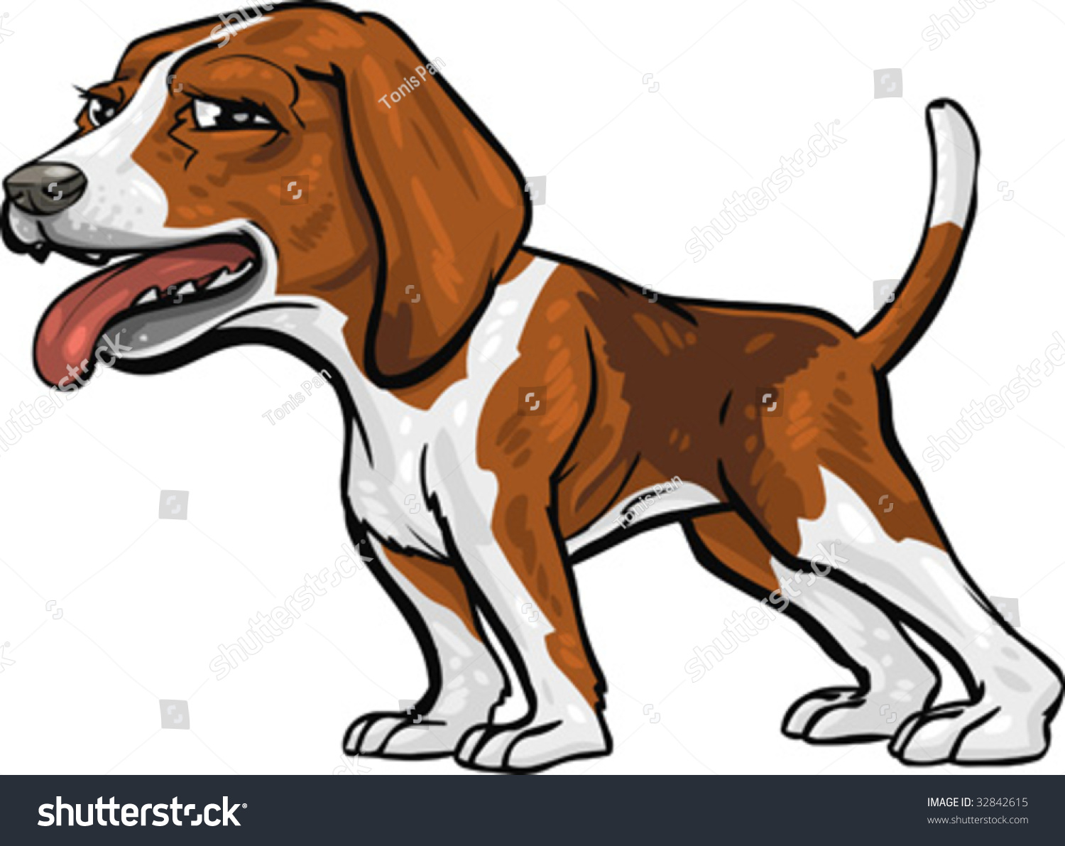 Vector, Clip Art, Caricature Illustration Of Beagle Hound Dog. Hand ...