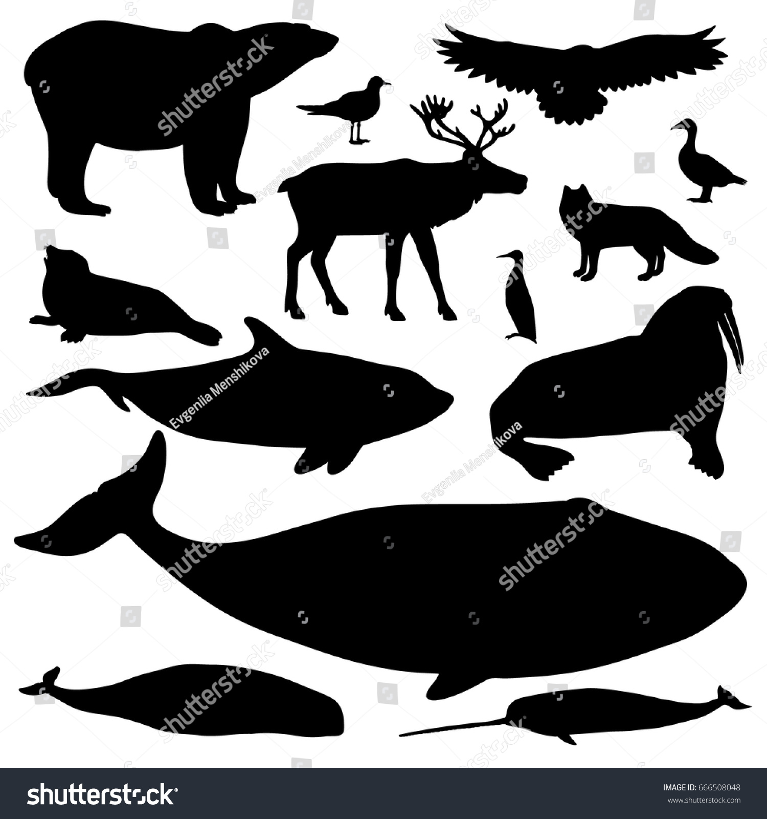 Vector Collection Arctic Animals Includes 13 Stock Vector Royalty