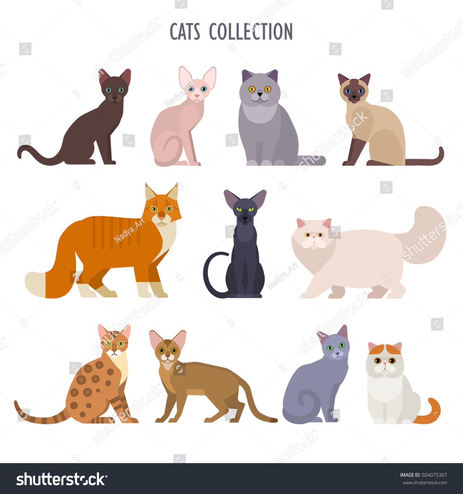 Vector Collection Different Cats Breeds Havana Stock Vector Royalty Free Shutterstock