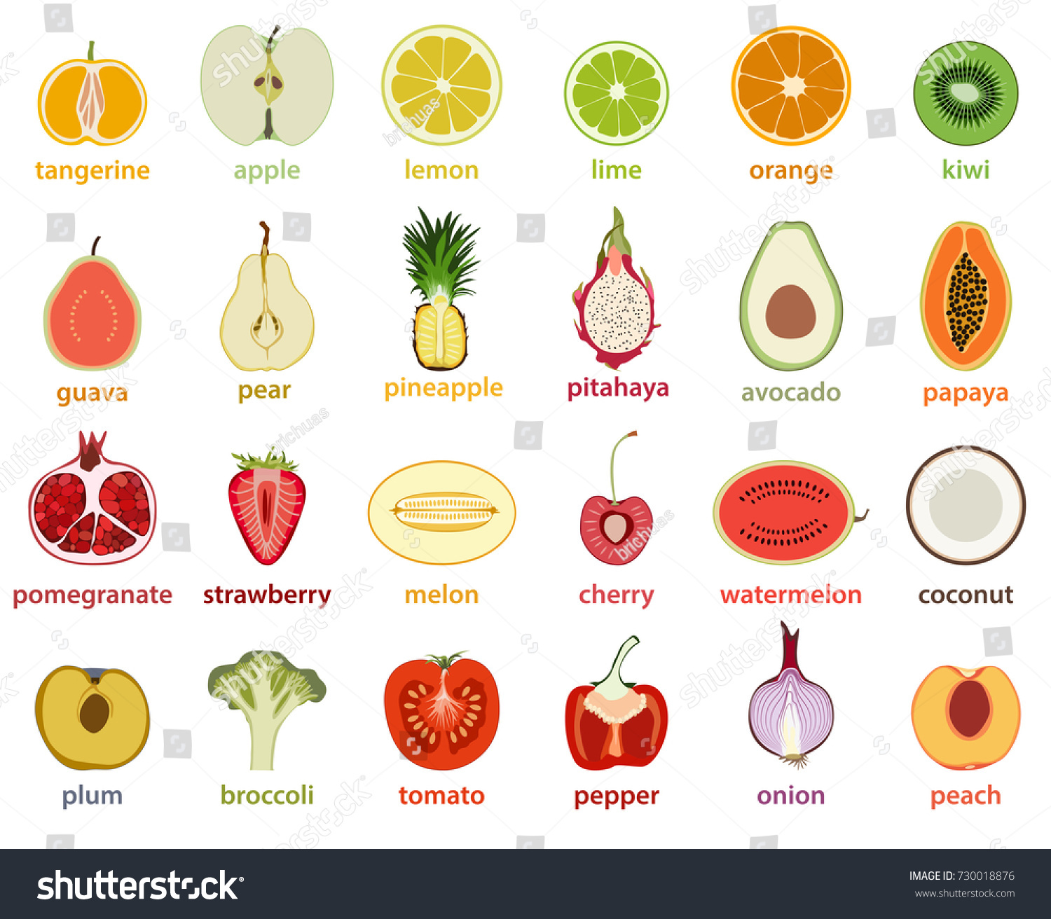 Vector Collection Isolated Fruits Cut Half Stock Vector (Royalty Free ...