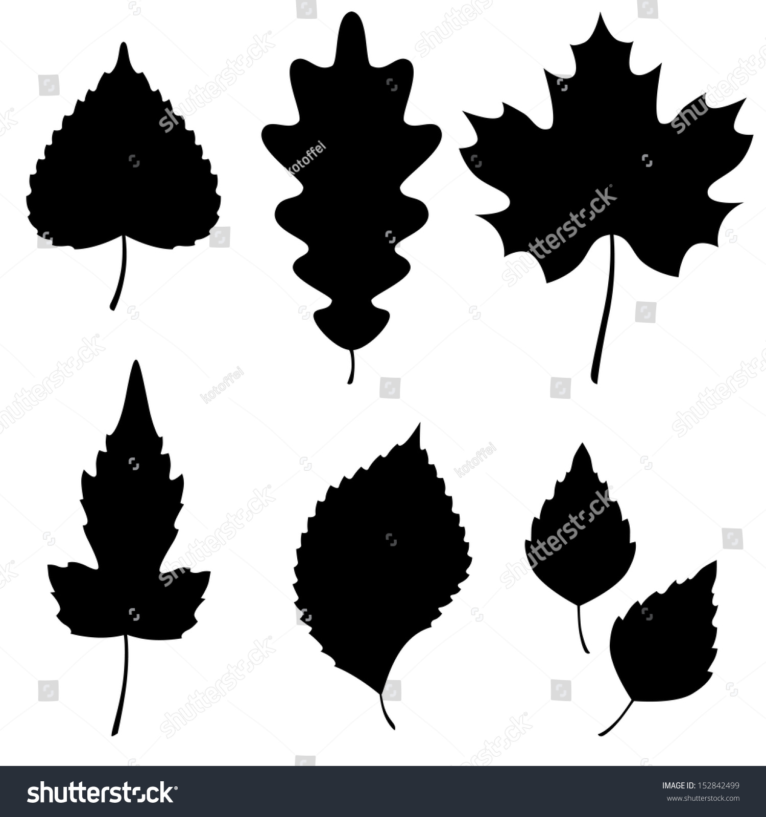 Vector Collection Leaf Silhouettes Stock Vector (Royalty Free) 152842499