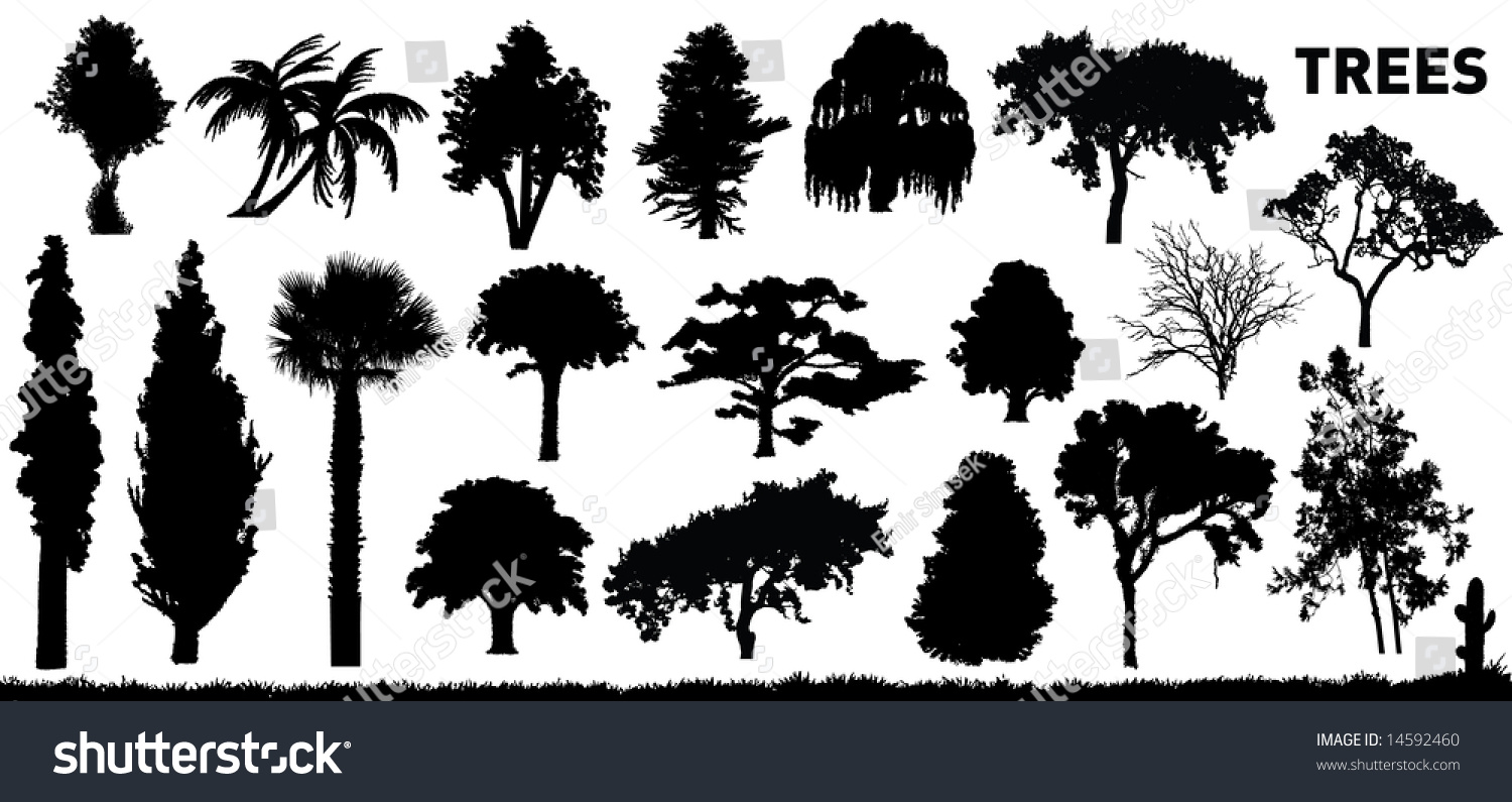 SVG of vector collection of some trees svg
