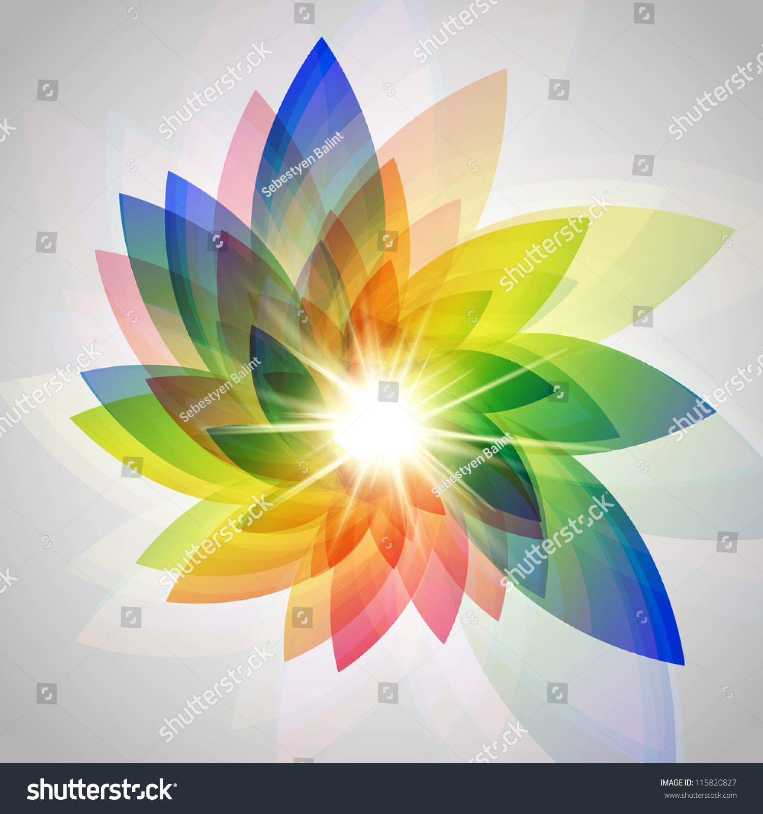 Vector Colorful Flower Illustration - 115820827 : Shutterstock