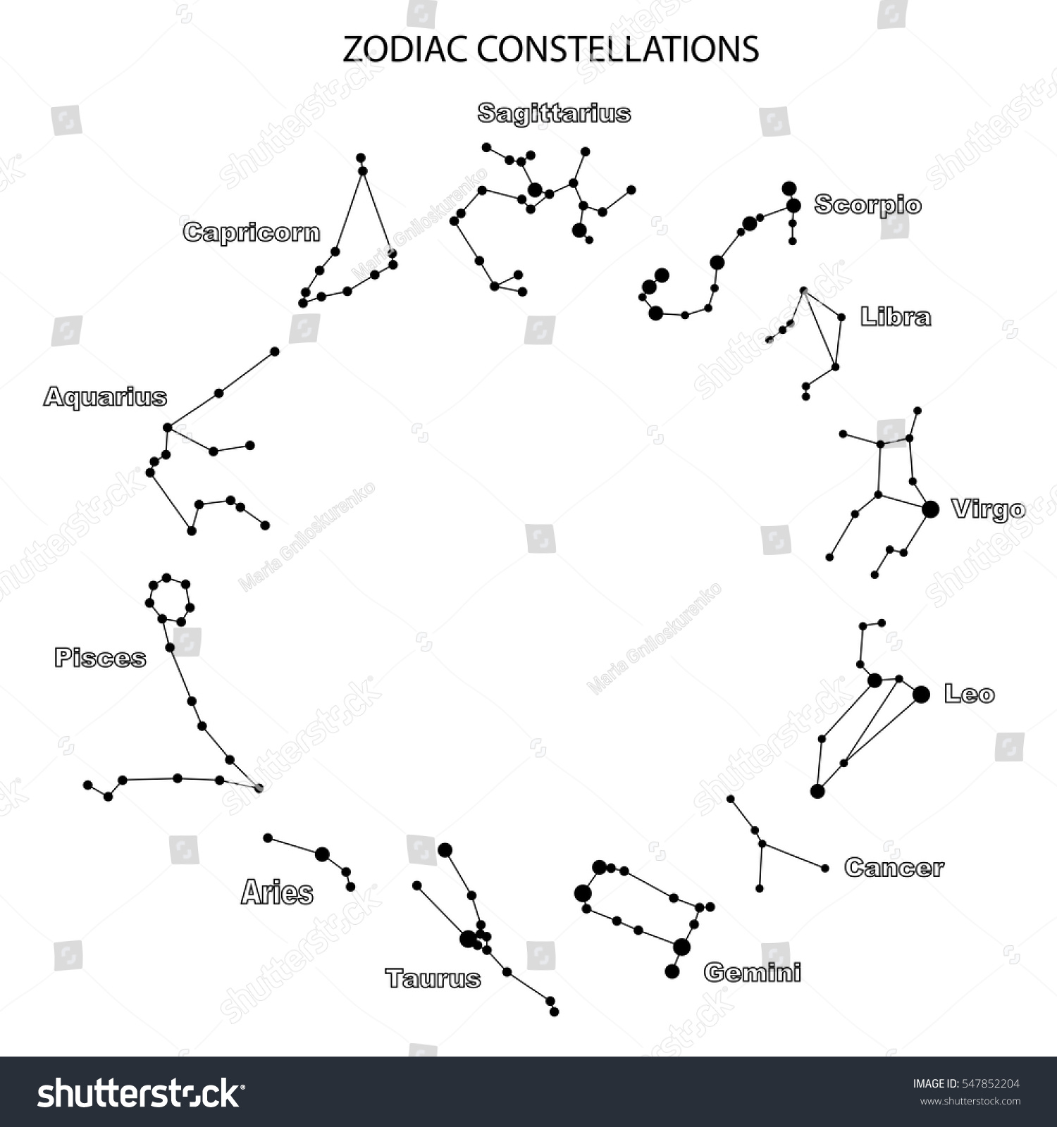 Vector Constellations 12 Zodiac Signs Constellations Stock Vector ...