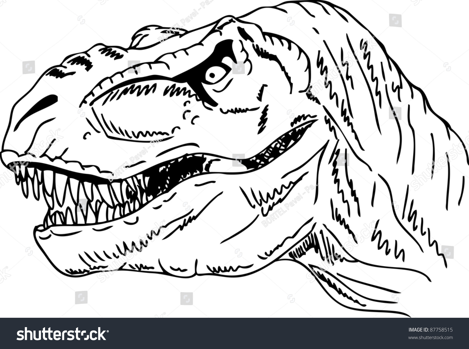 Vector Contour Head Dinosaur Isolated On Stock Vector Royalty Free