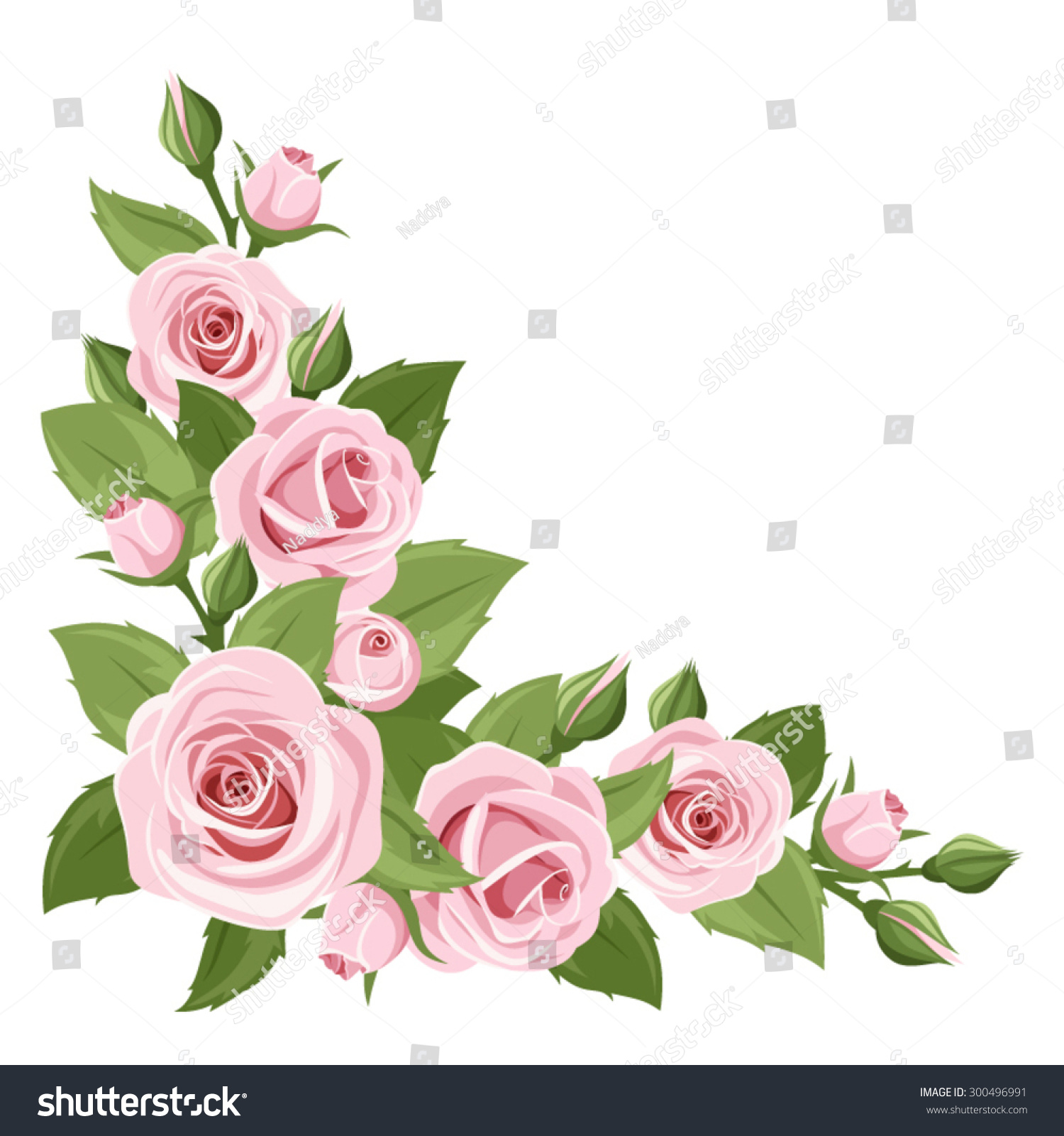 Vector Corner Background Pink Roses Green Stock Vector (Royalty Free ...