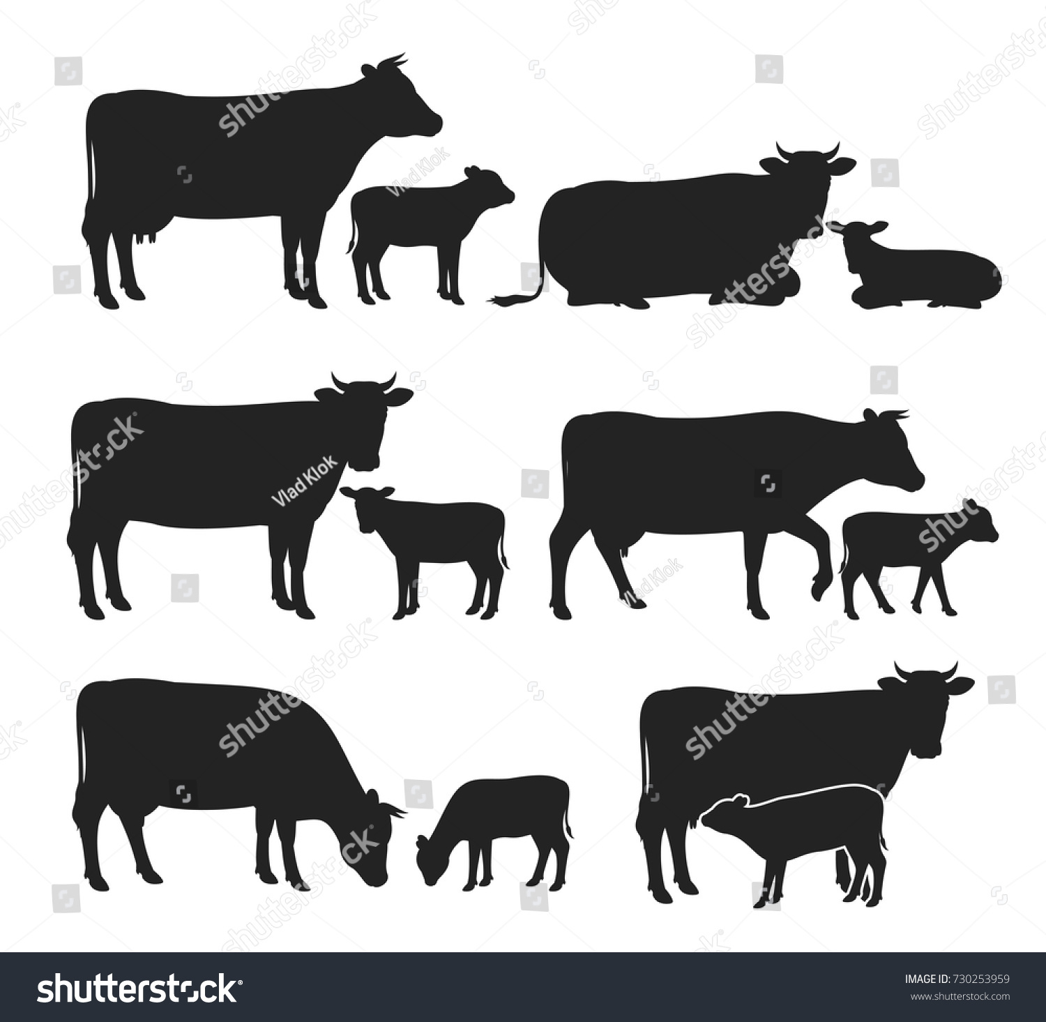 Vector Cow Calf Silhouettes Isolated On Stock Vector 730253959 ...