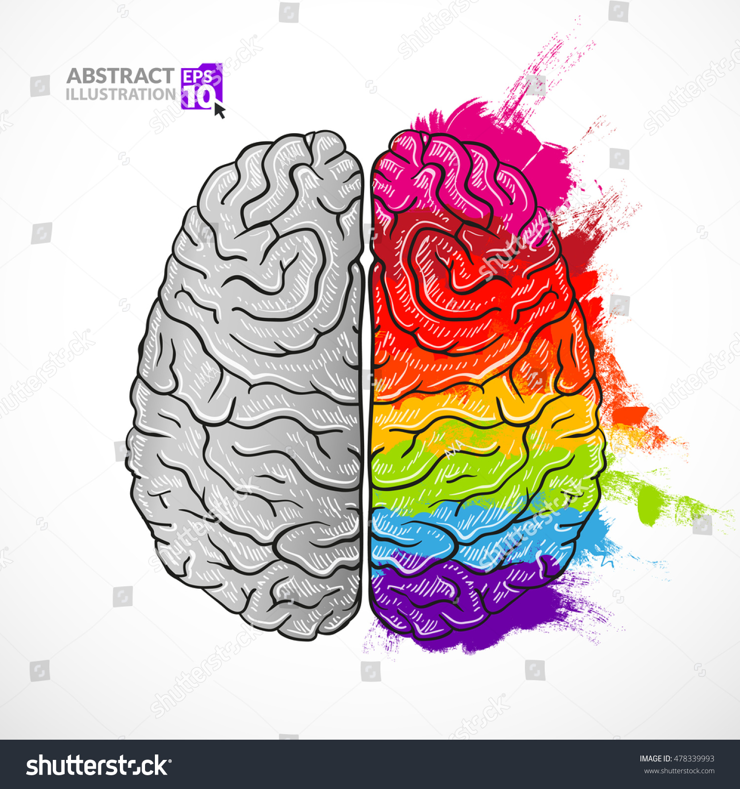 Vector Creative Illustration Handdrawn Human Brain Stock Vector ...