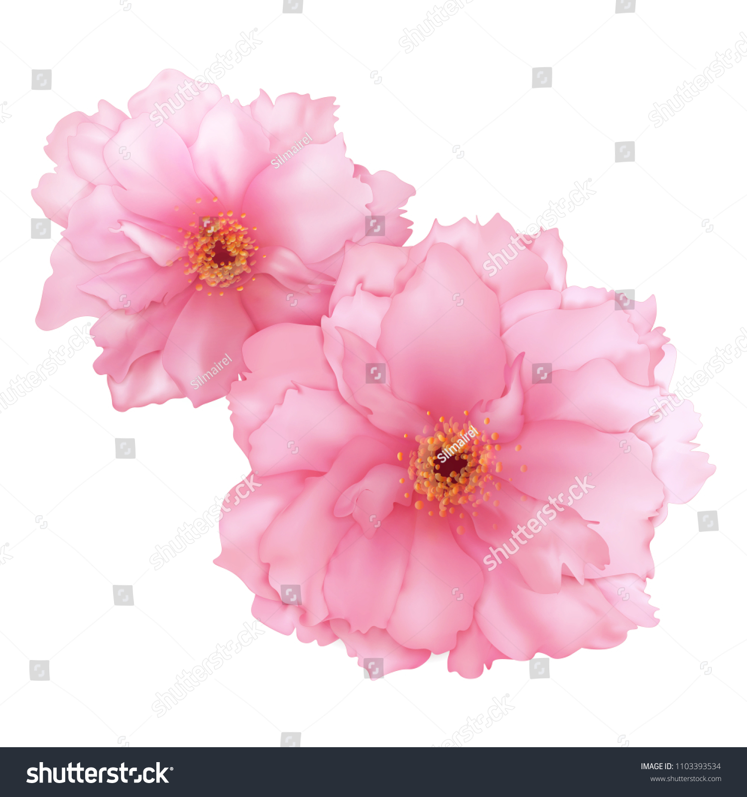 ベクター画像3dのリアルなピンクの桜の花のデジタルアート のベクター画像素材 ロイヤリティフリー