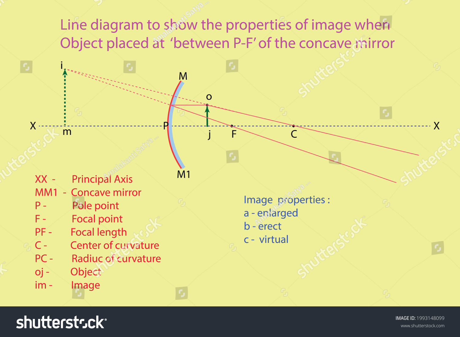 SVG of vector diagram to show the line diagram when object placed at between p-c of a concave mirror svg