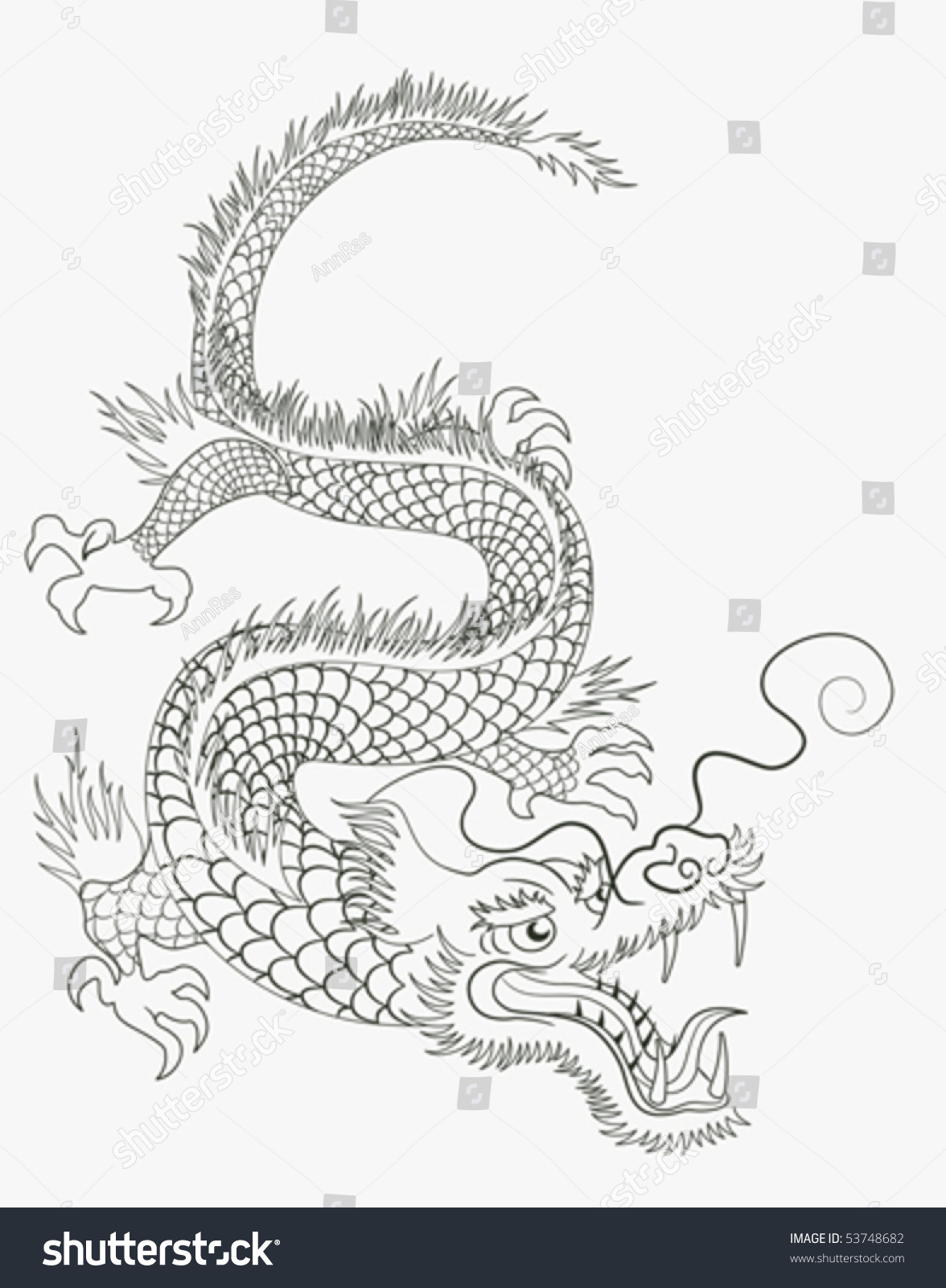 Vector Dragon - 53748682 : Shutterstock