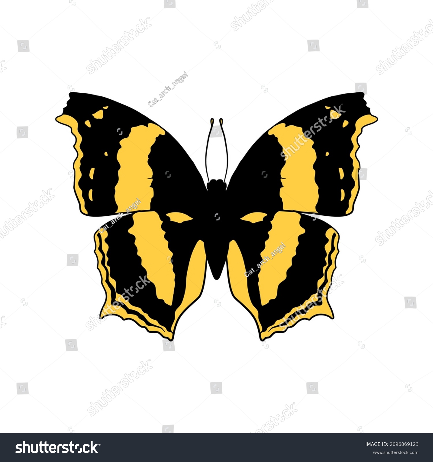 SVG of Vector drawing Australian lurcher butterfly, Yoma sabina, hand drawn illustration svg