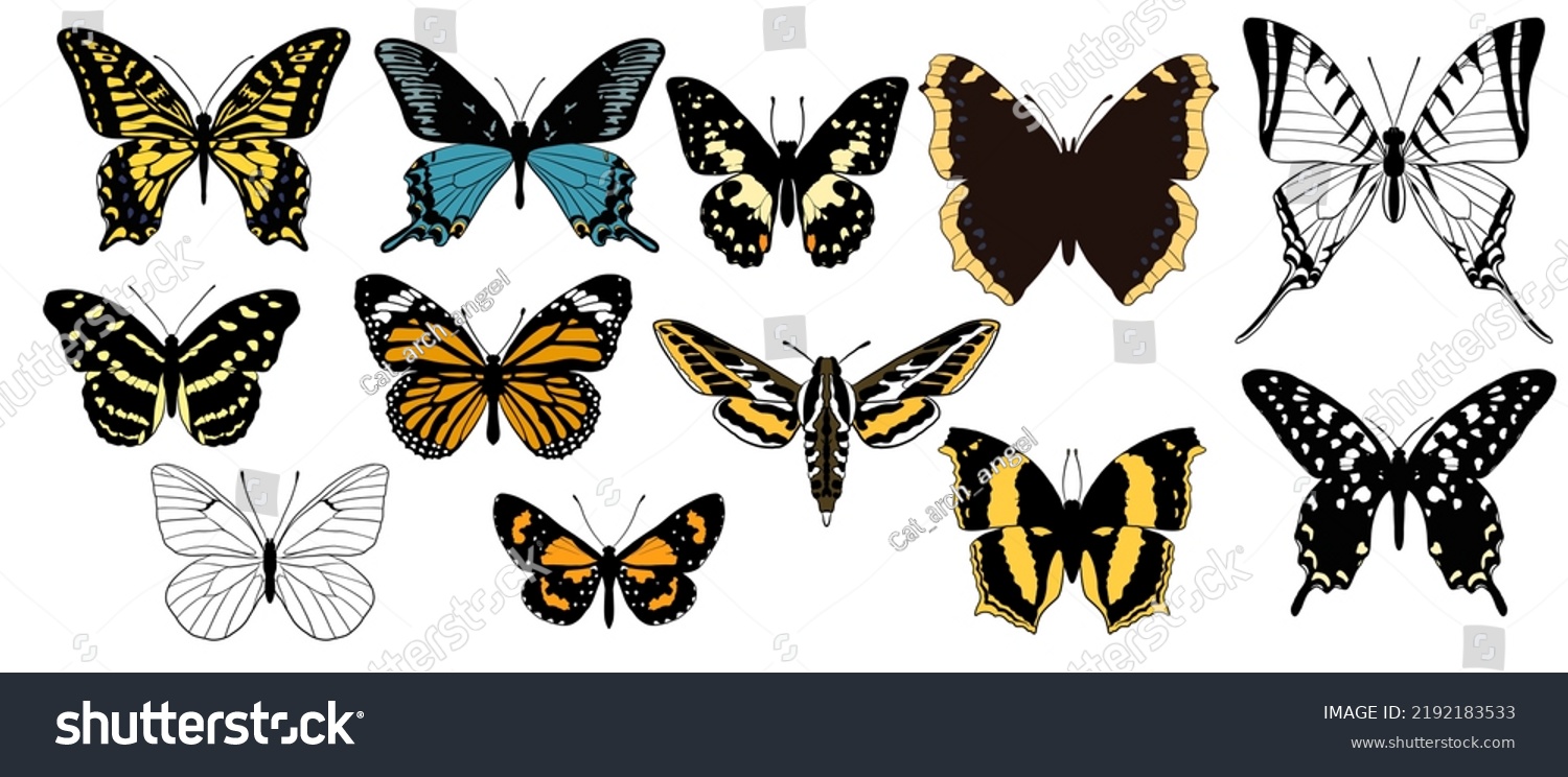 SVG of vector drawing collection of butterflies, isolated at white background, hand drawn illustration svg
