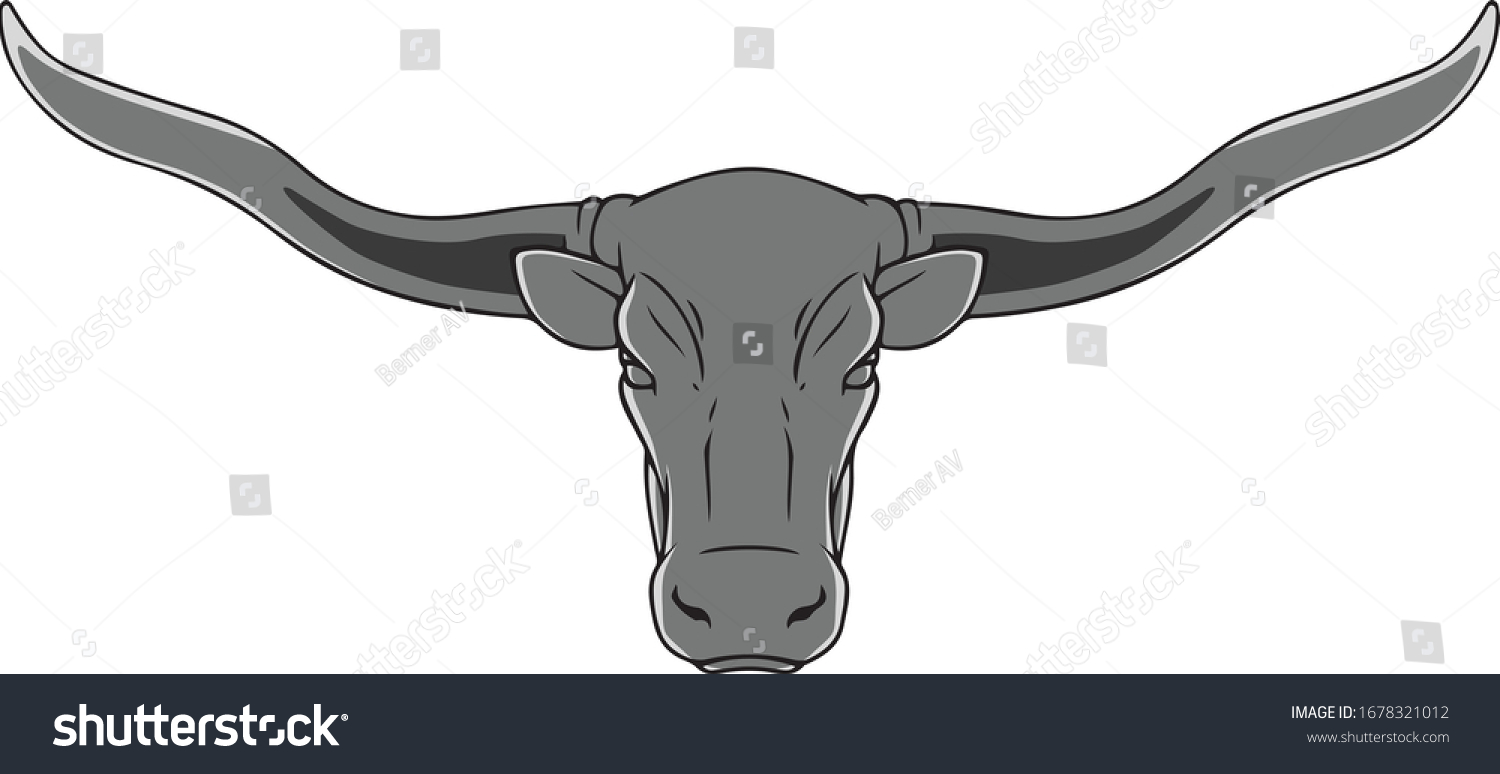 Vector Drawing Head Texas Longhorn On Stock Vector (Royalty Free