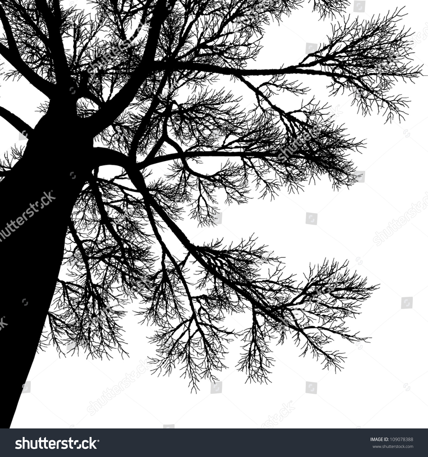 SVG of vector drawing of the tree - detailed vector svg
